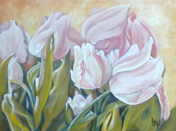 #227 "Close-up of Pink Tulips"