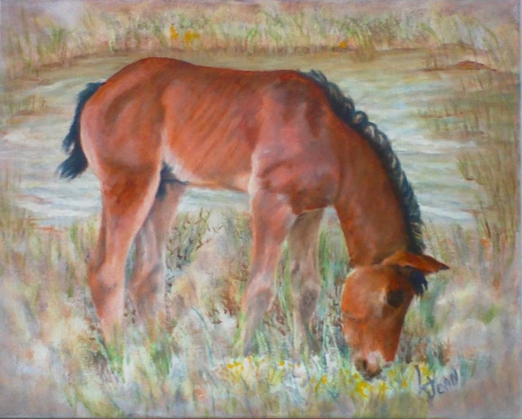 #279 "Brown Foal Eating"