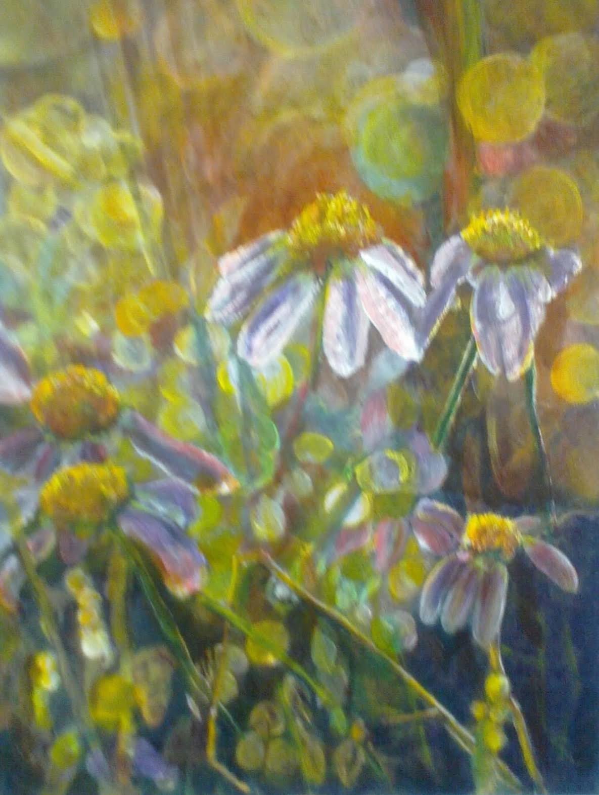 #182 "Daisies and Water Drops"