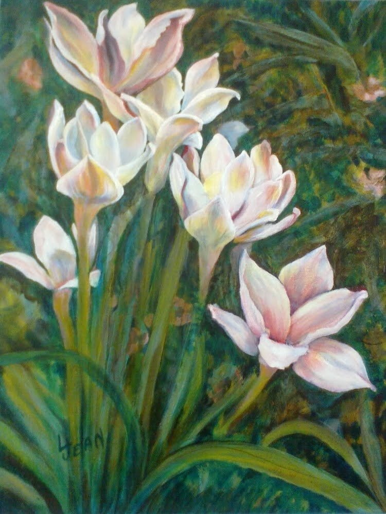 #183 "Light Pink Crocus Flowers"