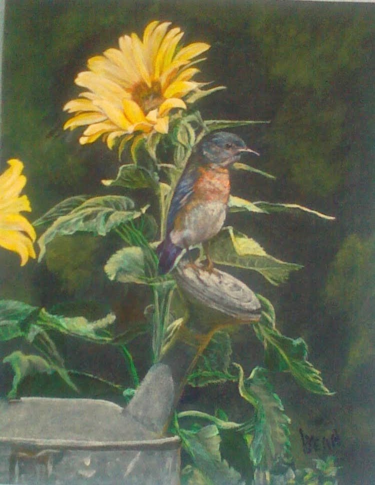 #184 "Astem Bluebird & Sunflower with Water Casket"