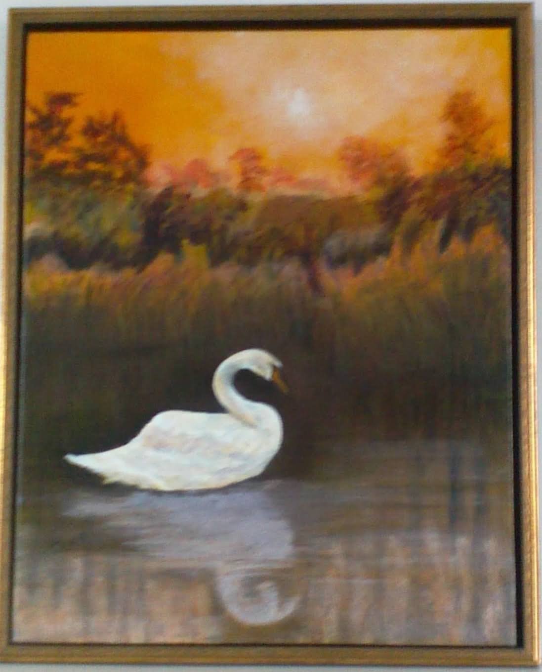 #237 "Swan on an Orange Lake"