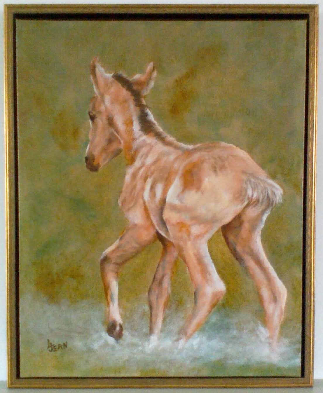 #245 "Baby Colt"