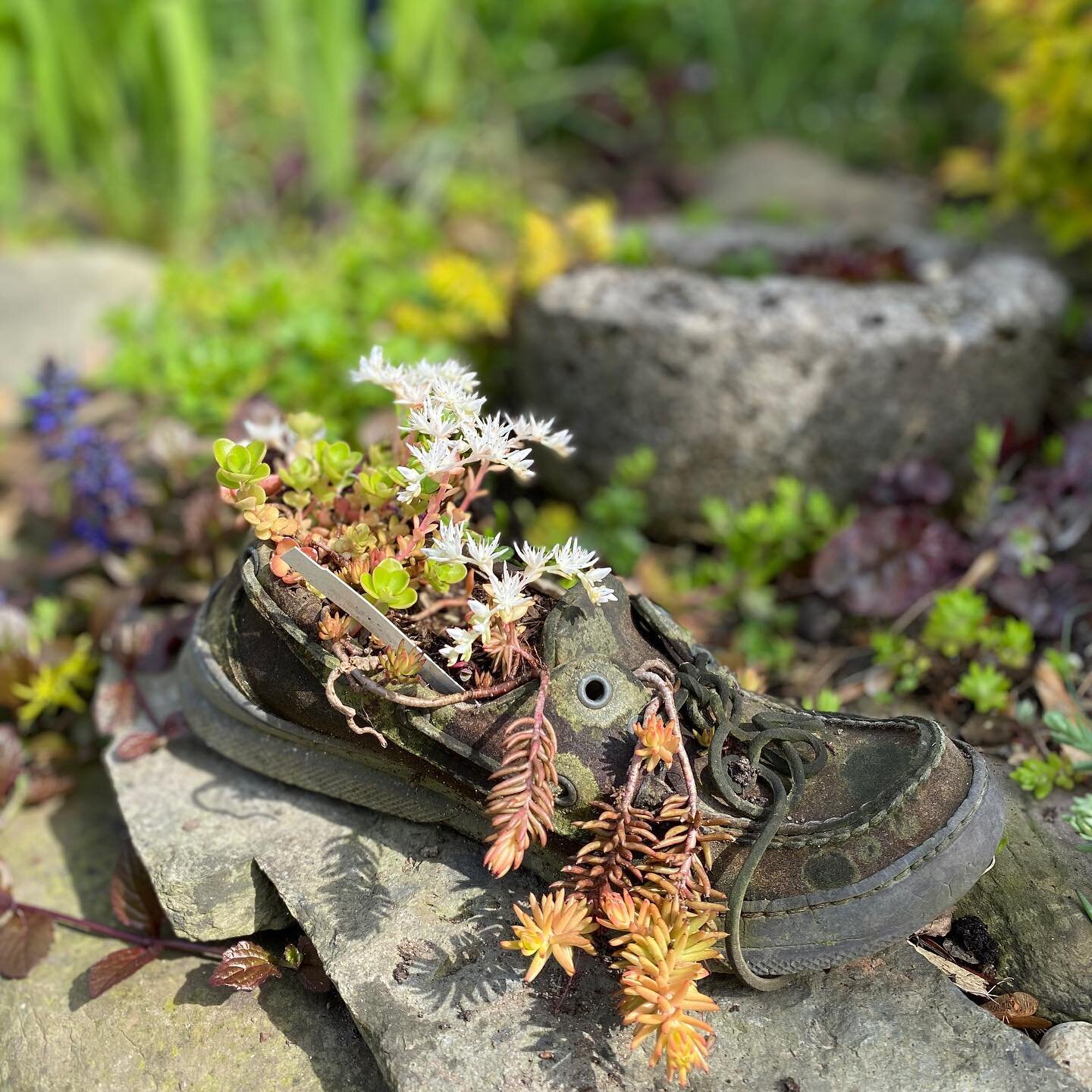 Loafing Loafer 🌿