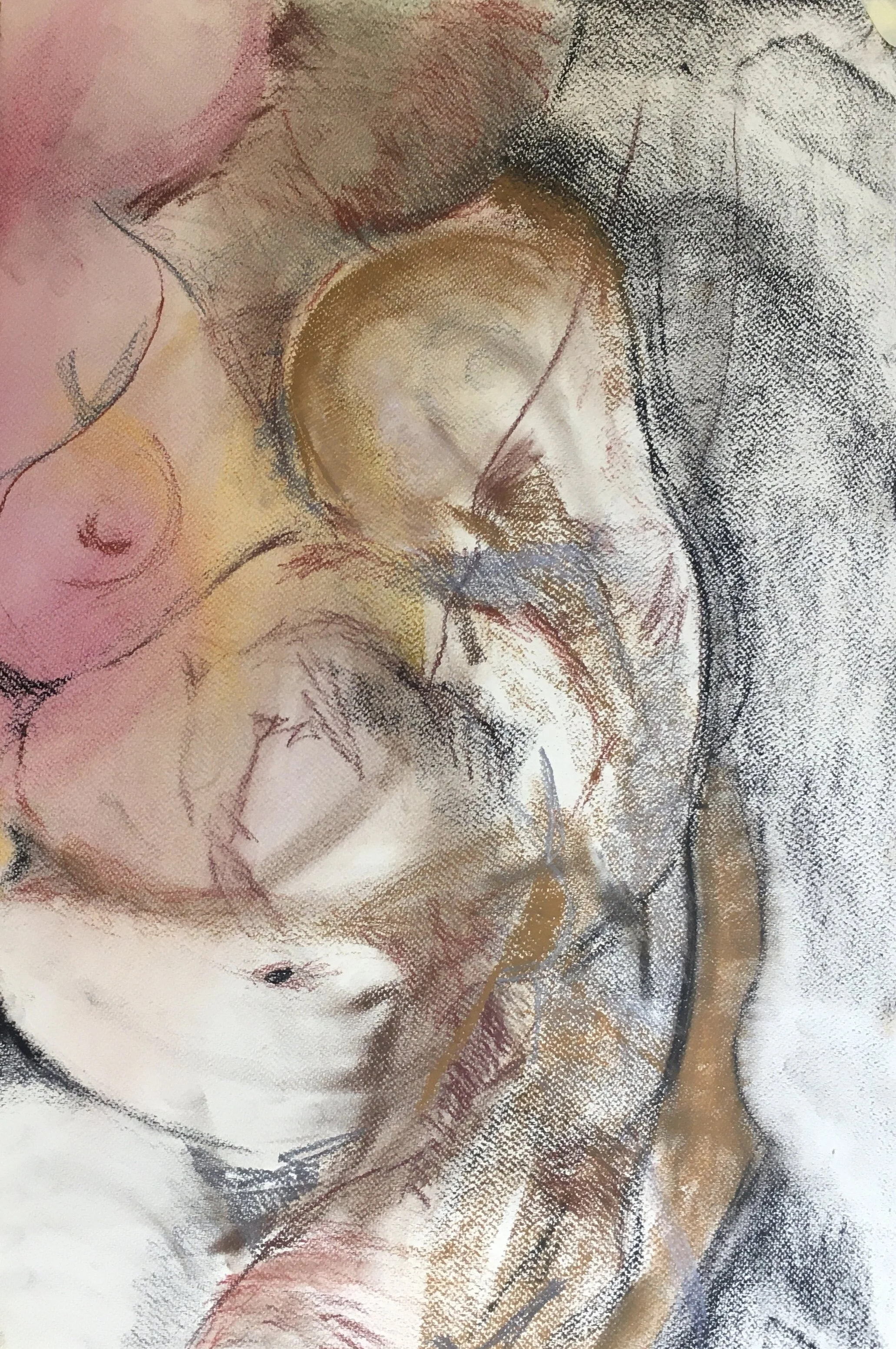 B29D3B76-403D-44D4-907E-BBB76CAA37E0