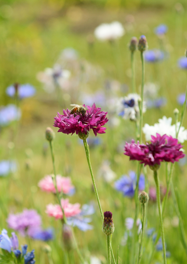 Photo 21-10-2026, 13 57 43.png