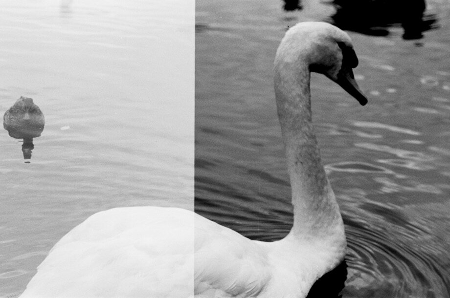 24091_JEL_July-Dec2019_018-33 1.jpg