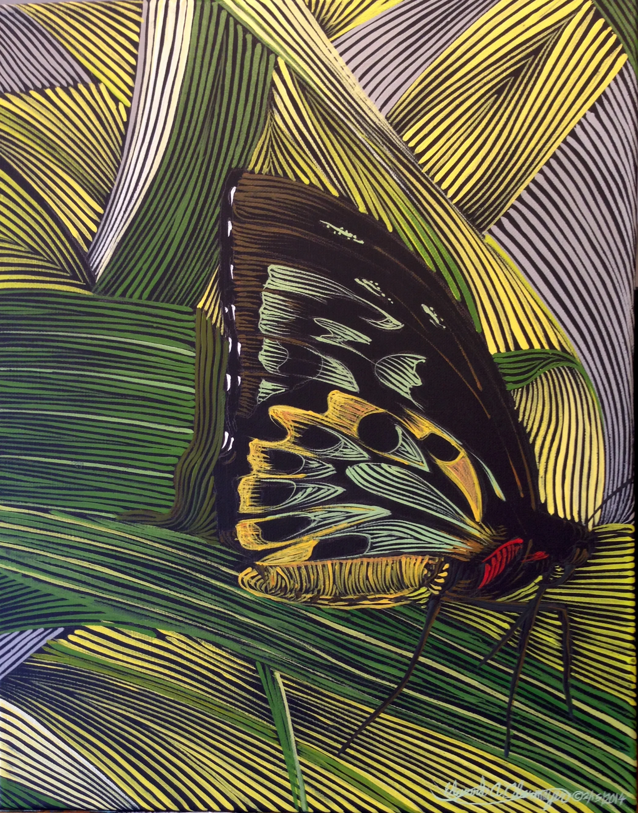 "Birdwing Butterfly at Kuranda, No. 2