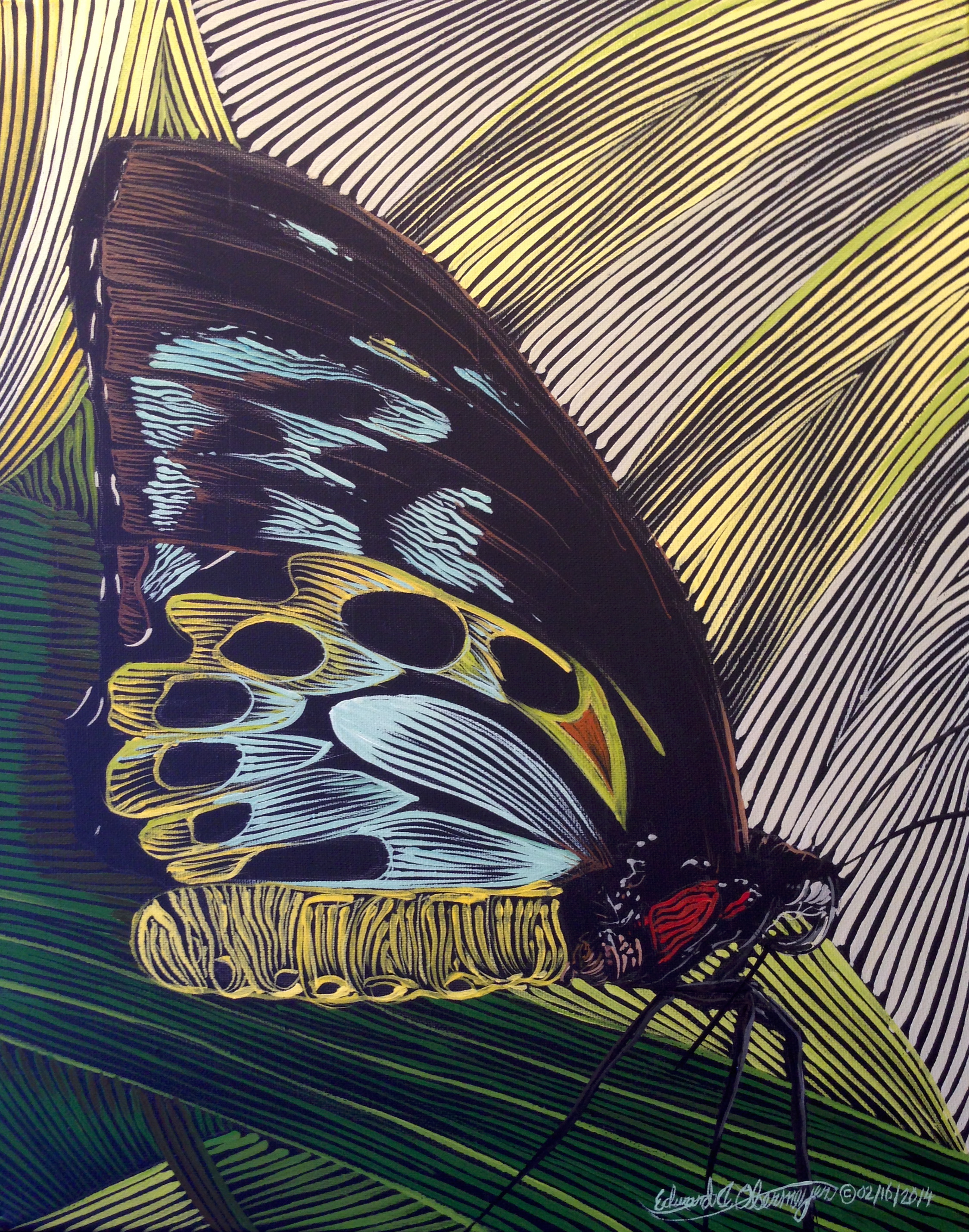 "Birdwing Butterfly at Kuranda, No. 3"