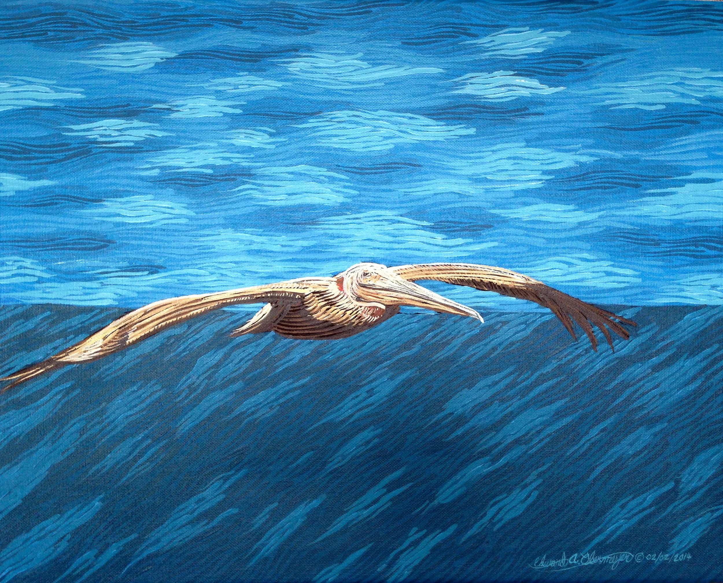 Pelican Glider