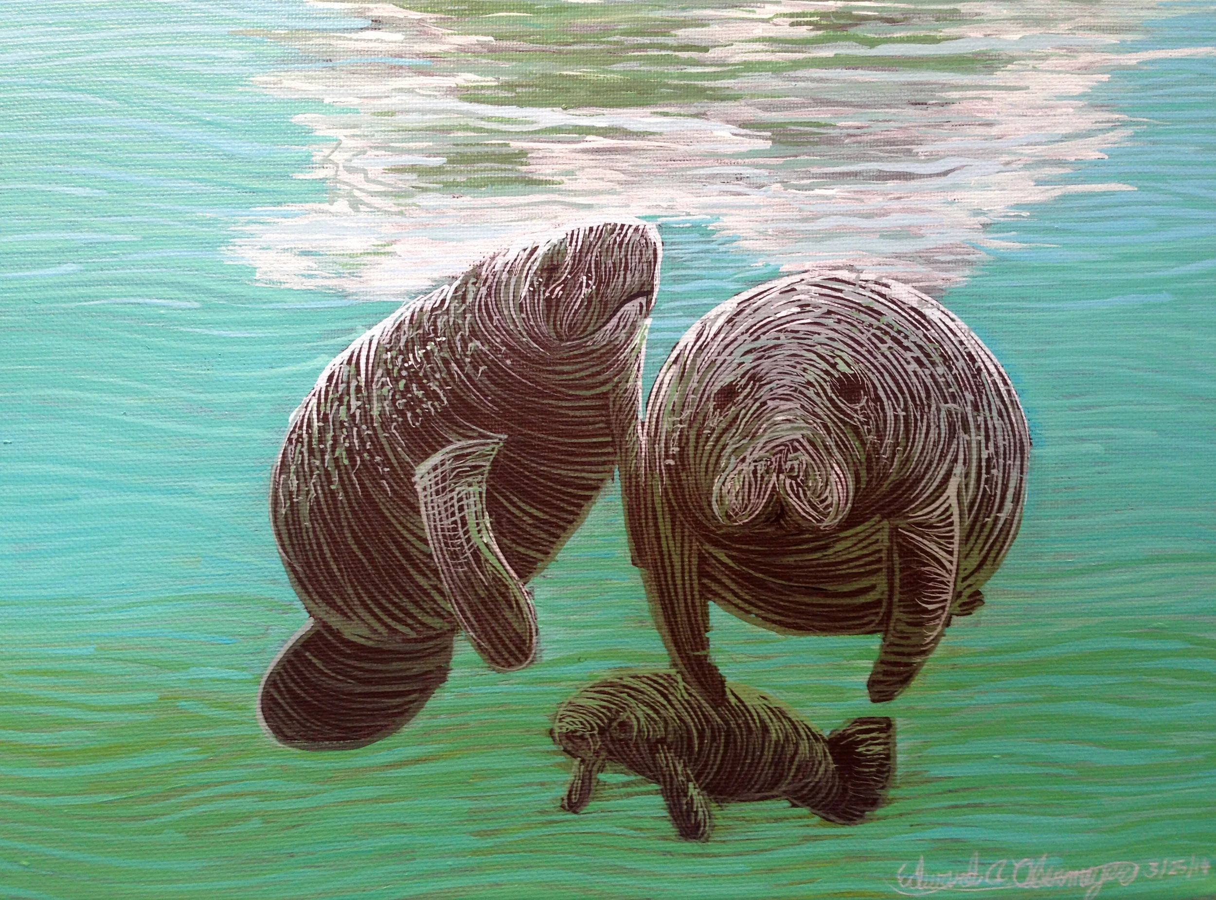 "Crystal River Dreaming"