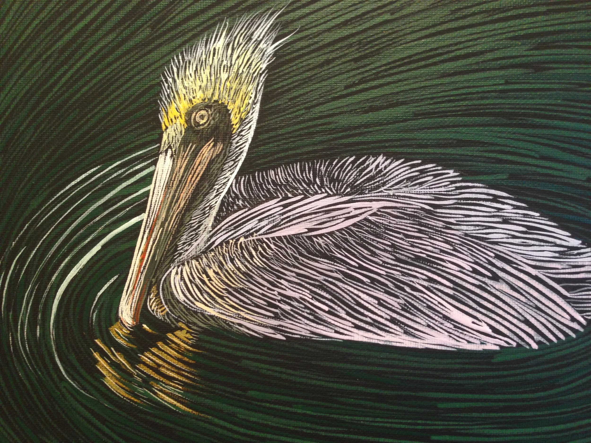 "Pelican Solitude"