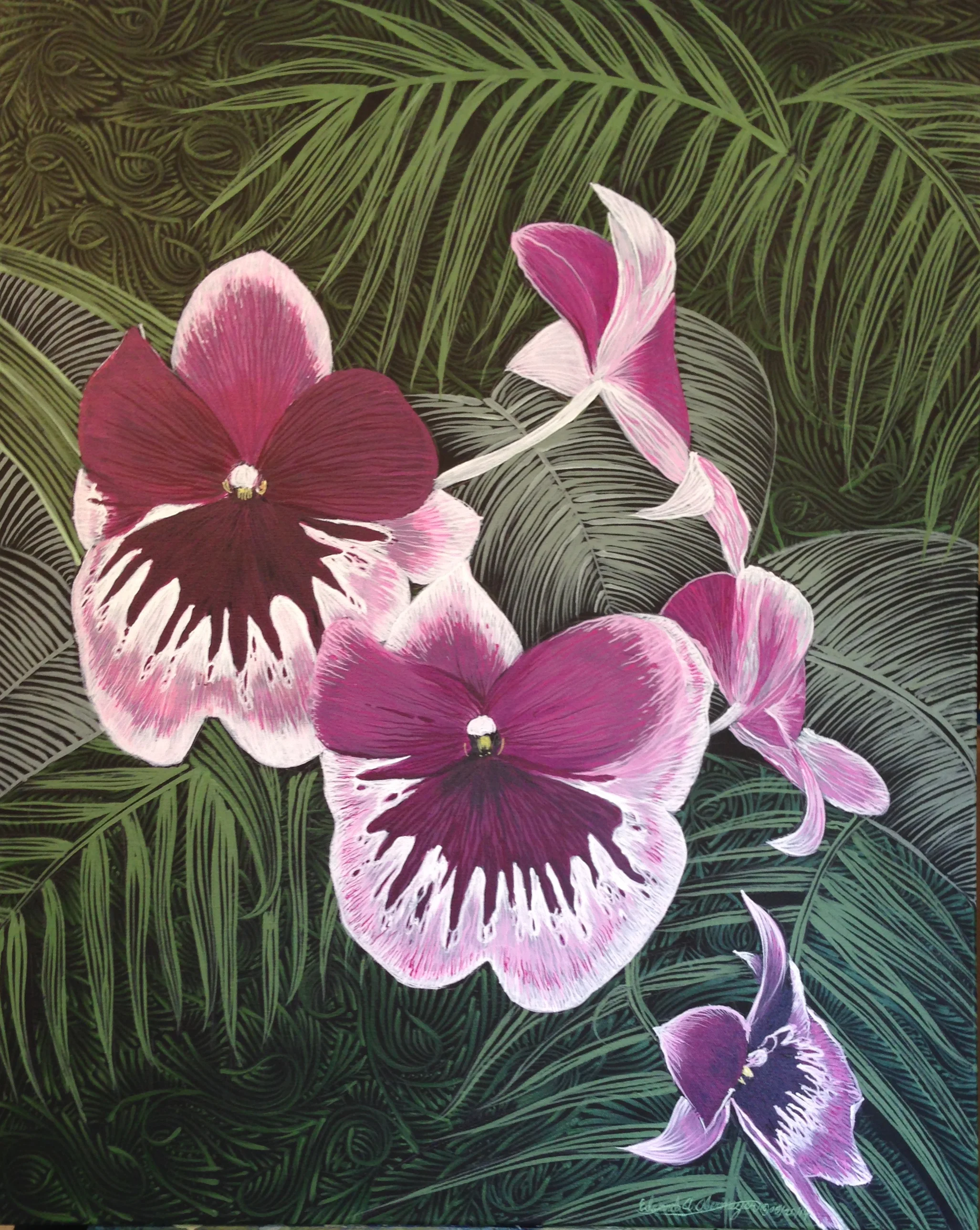 Orchid Series No. 4, Pansy Orchid