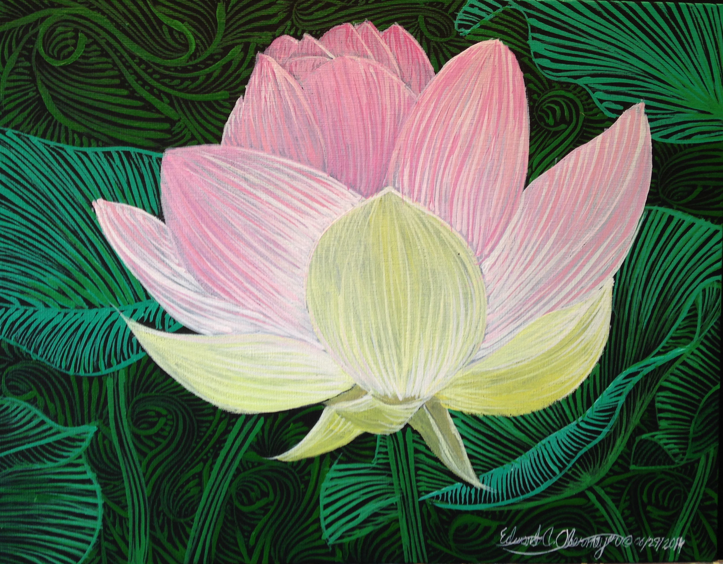 Mackay Island Lotus No. 1, 2014
