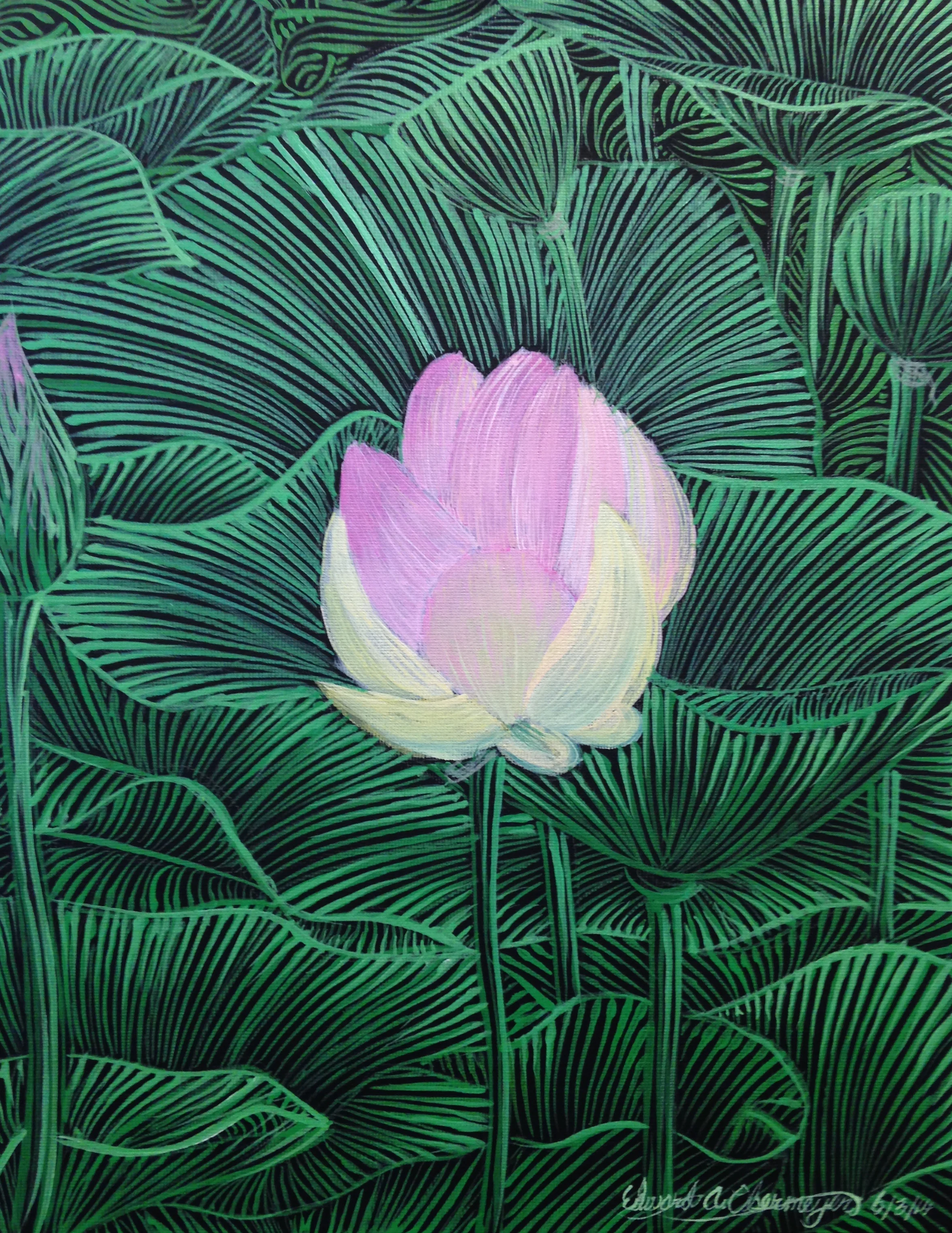 Mackay Island Lotus No. 2