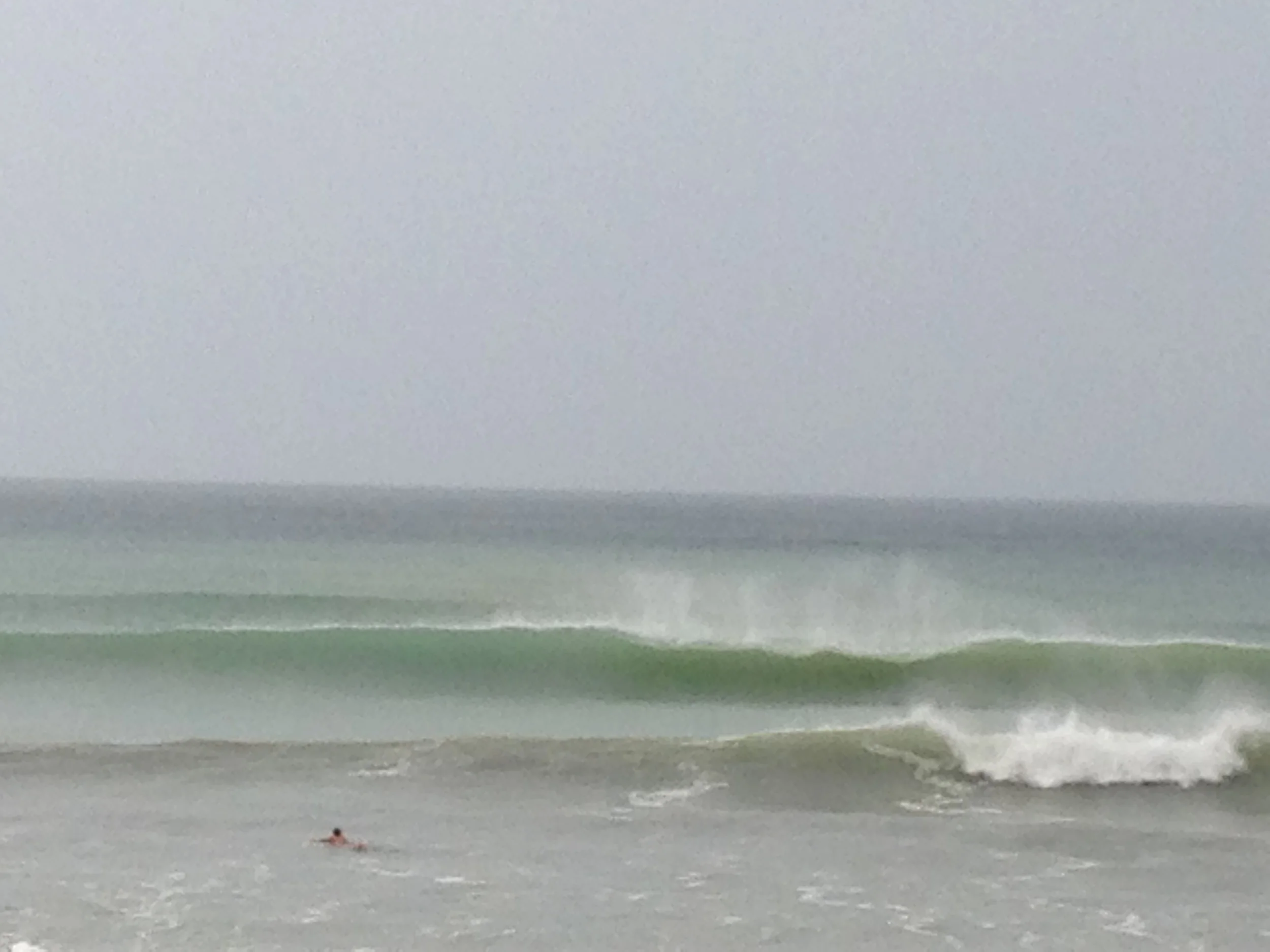 This was the typical view every morning in front of the pool.
