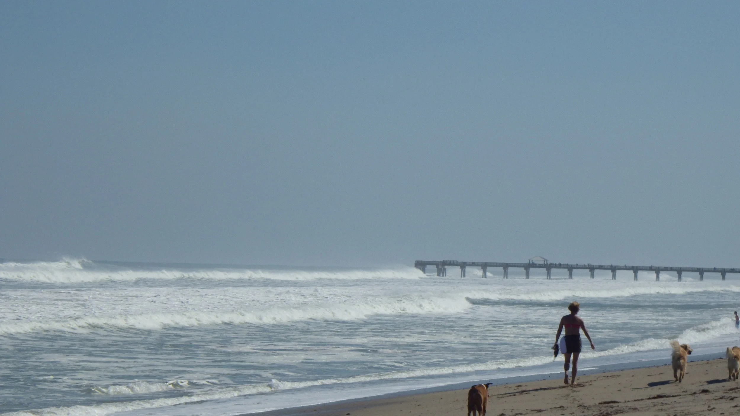 Juno looking out of control. If I had the time, I would have gone down the road to Reef Road for some doable surf, but time would not allow it.