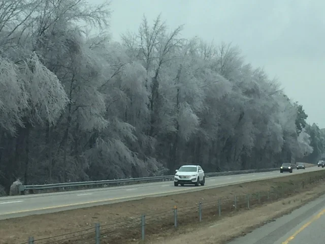 Ice trees on the I95 route