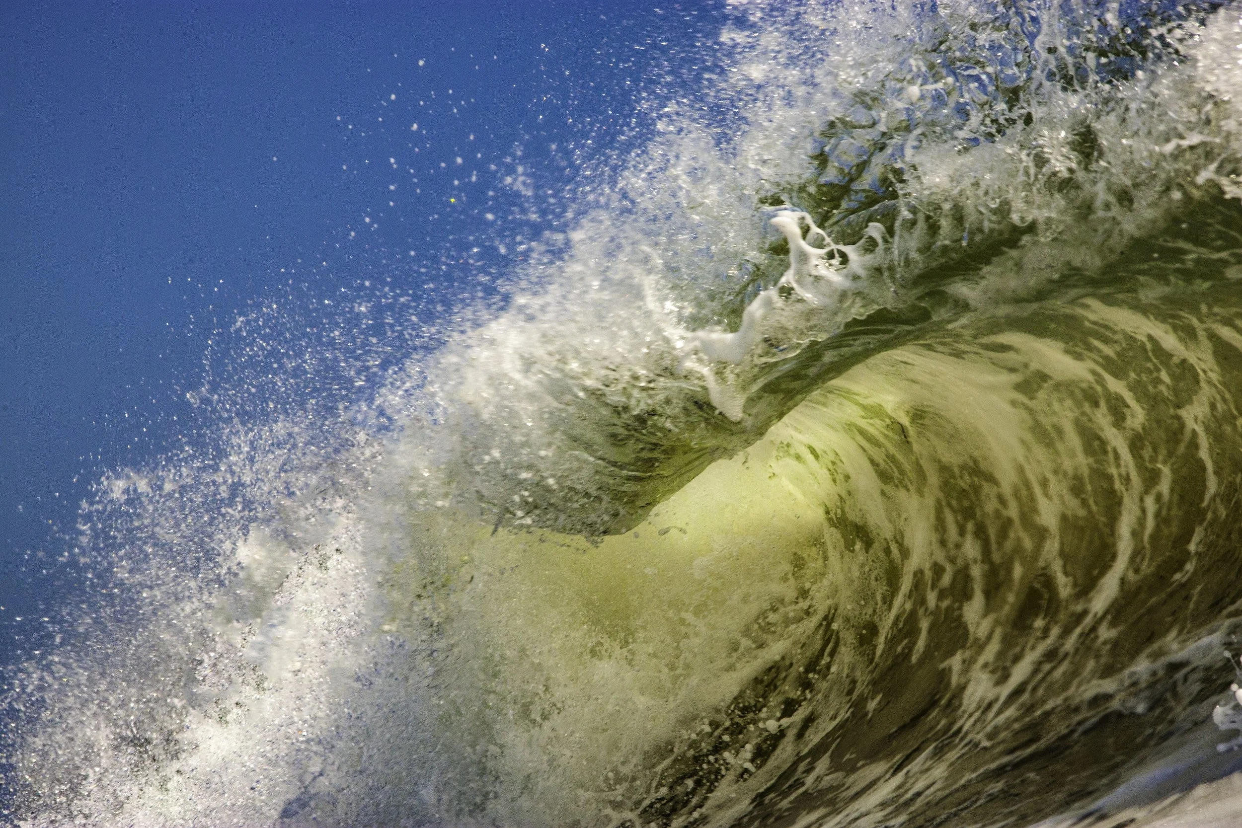 Hurricane Florence Lip