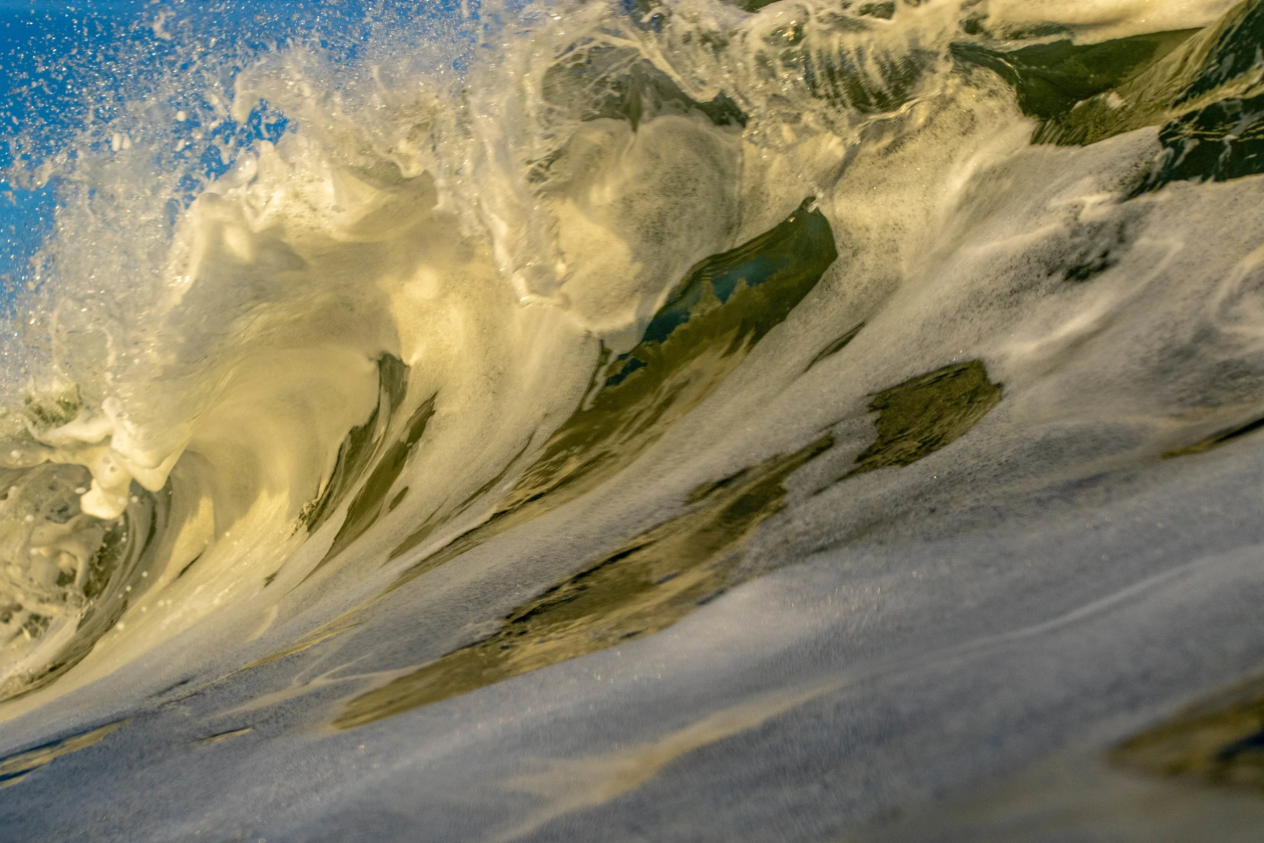 Foamy