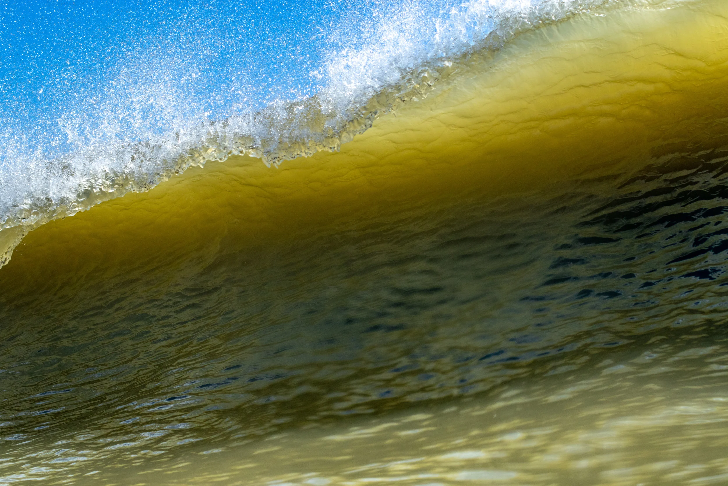 Golden Nugget 3