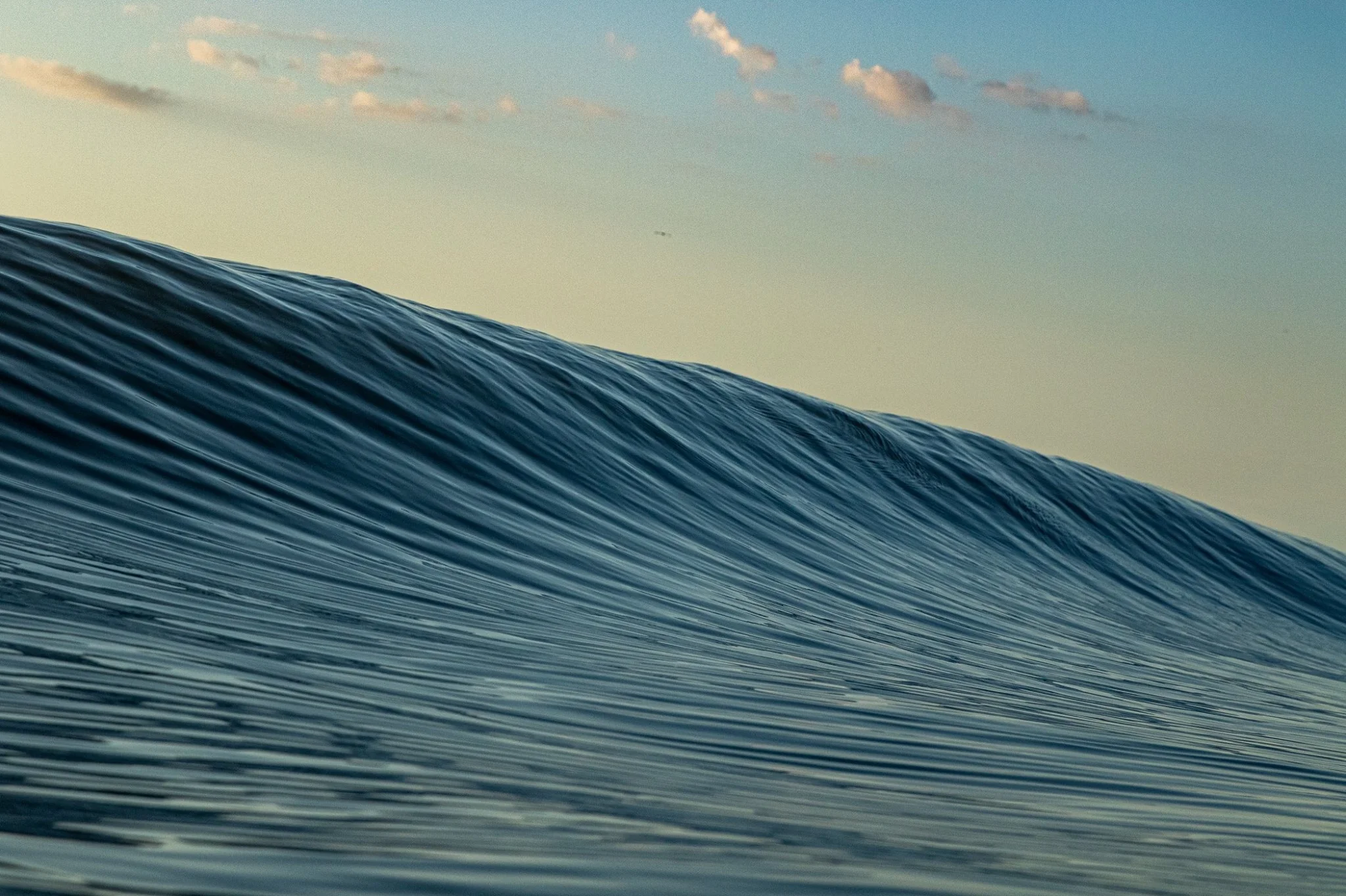 Corduroy Morning