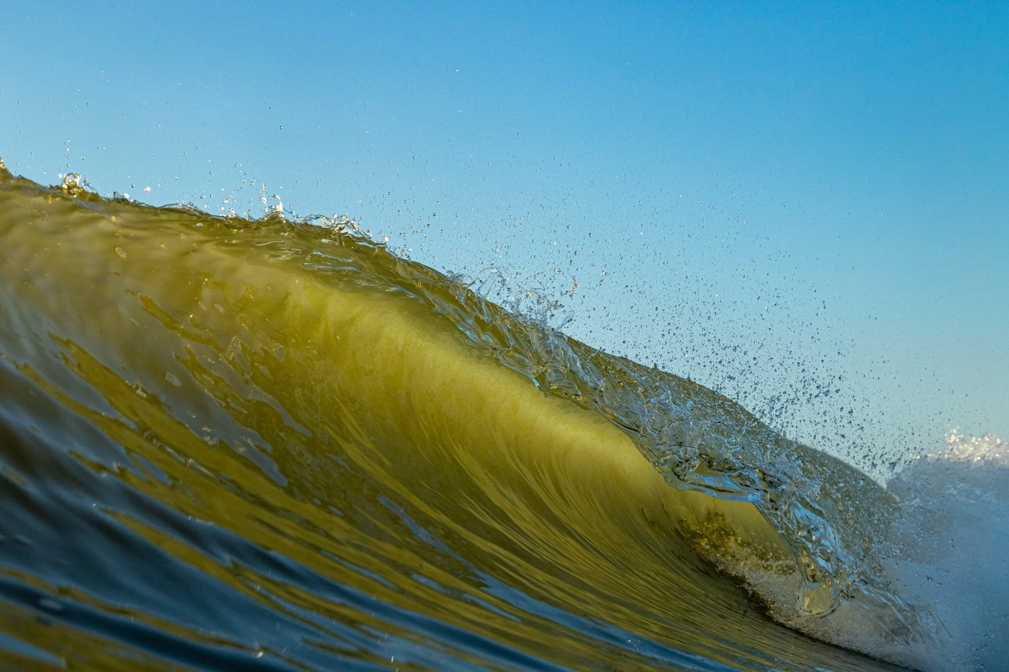 Warm Right, Dorian Swell