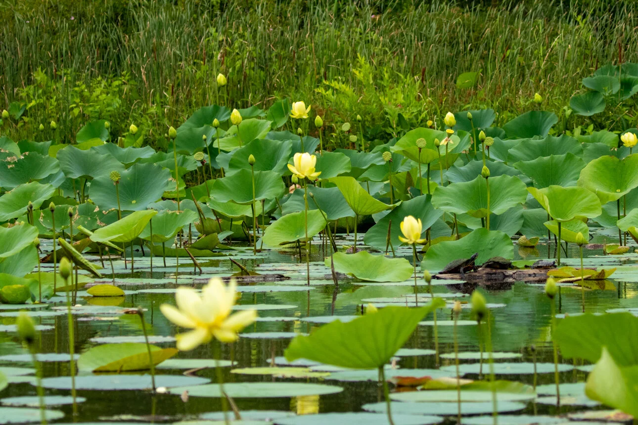 068A7559.jpg