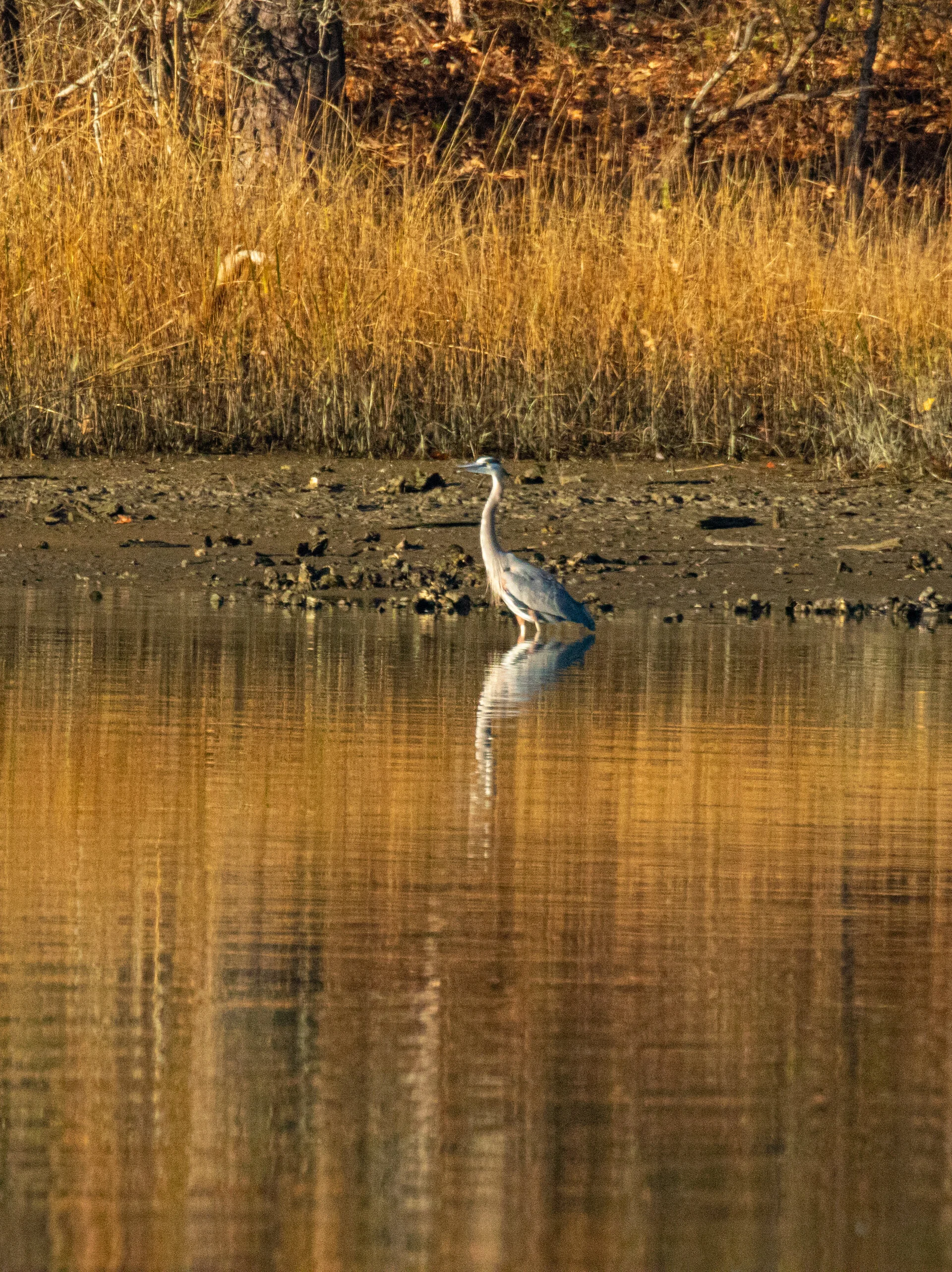 068A8327.jpg