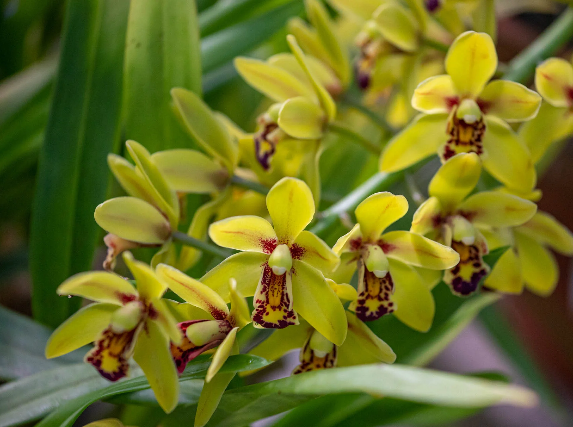8R0A4752.jpg