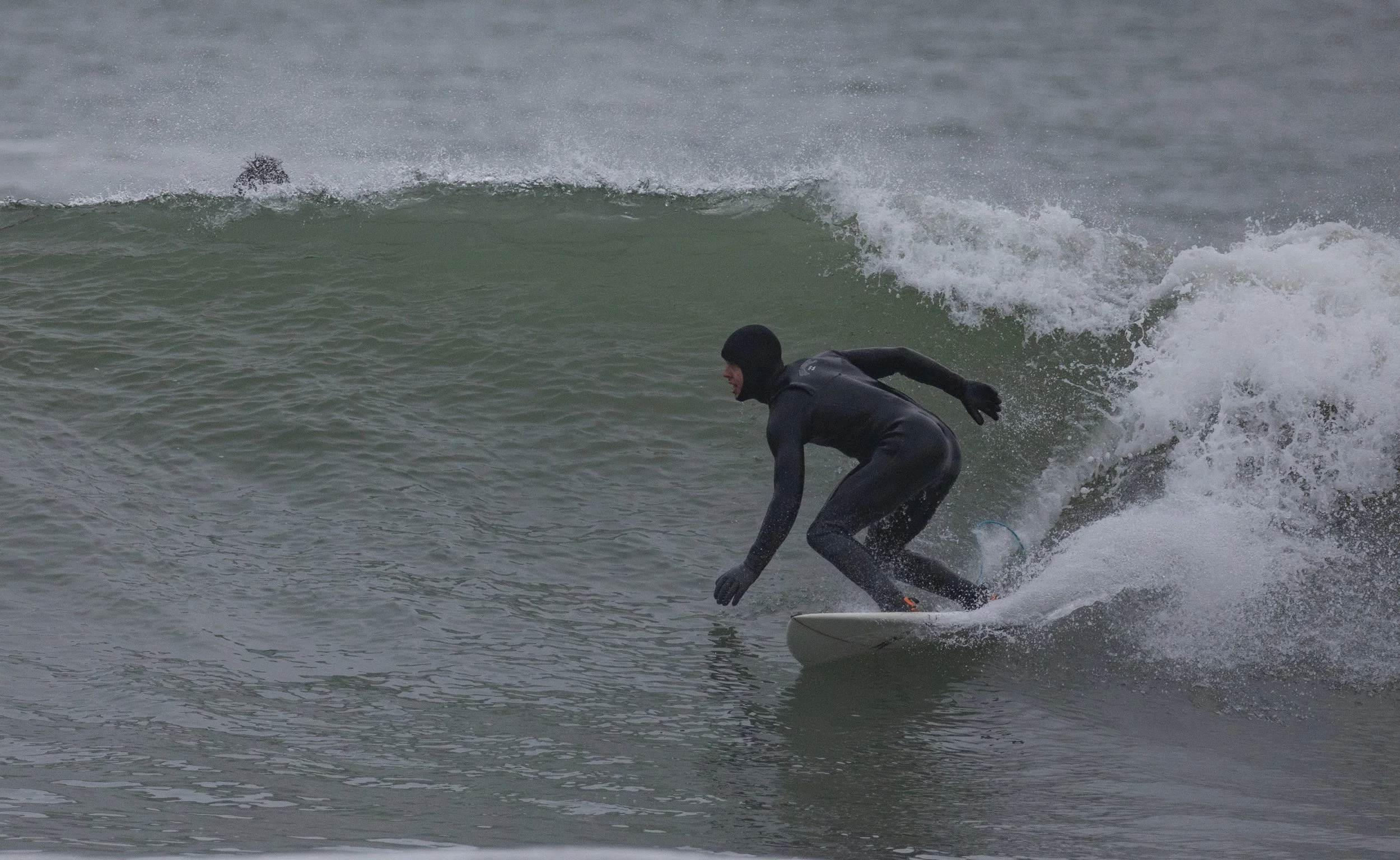 1H1A4987.jpg
