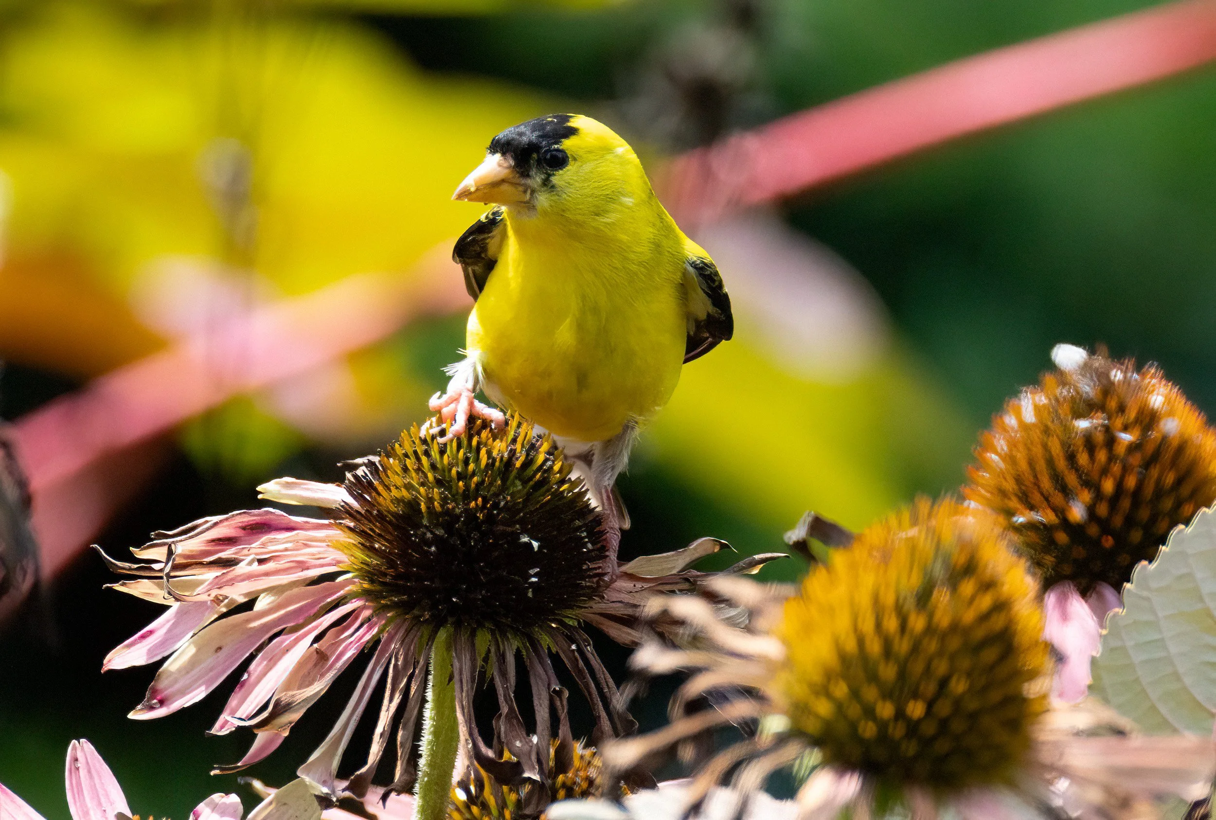 1H1A2578-Edit.jpg