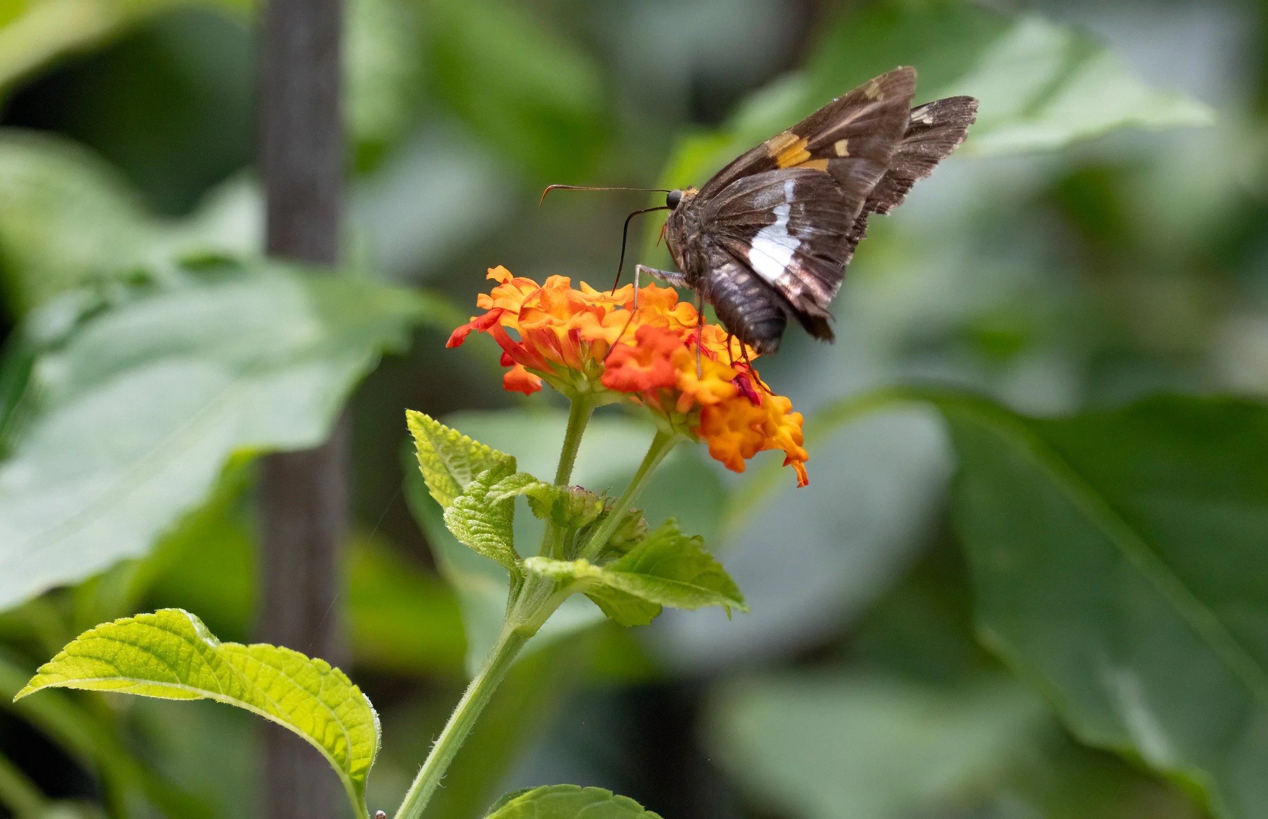 1H1A2666-Edit.jpg