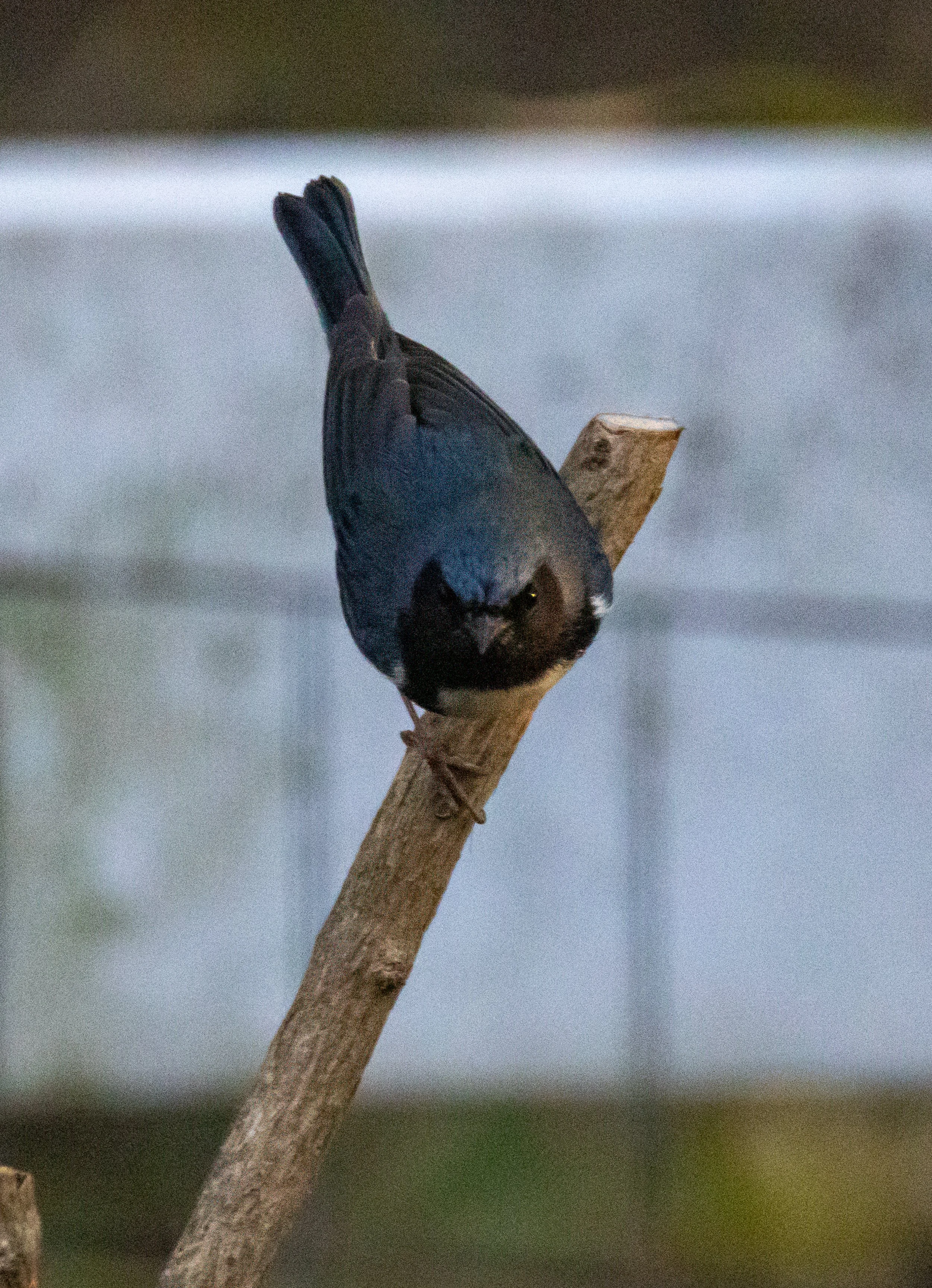 1X5A4124-Edit.jpg