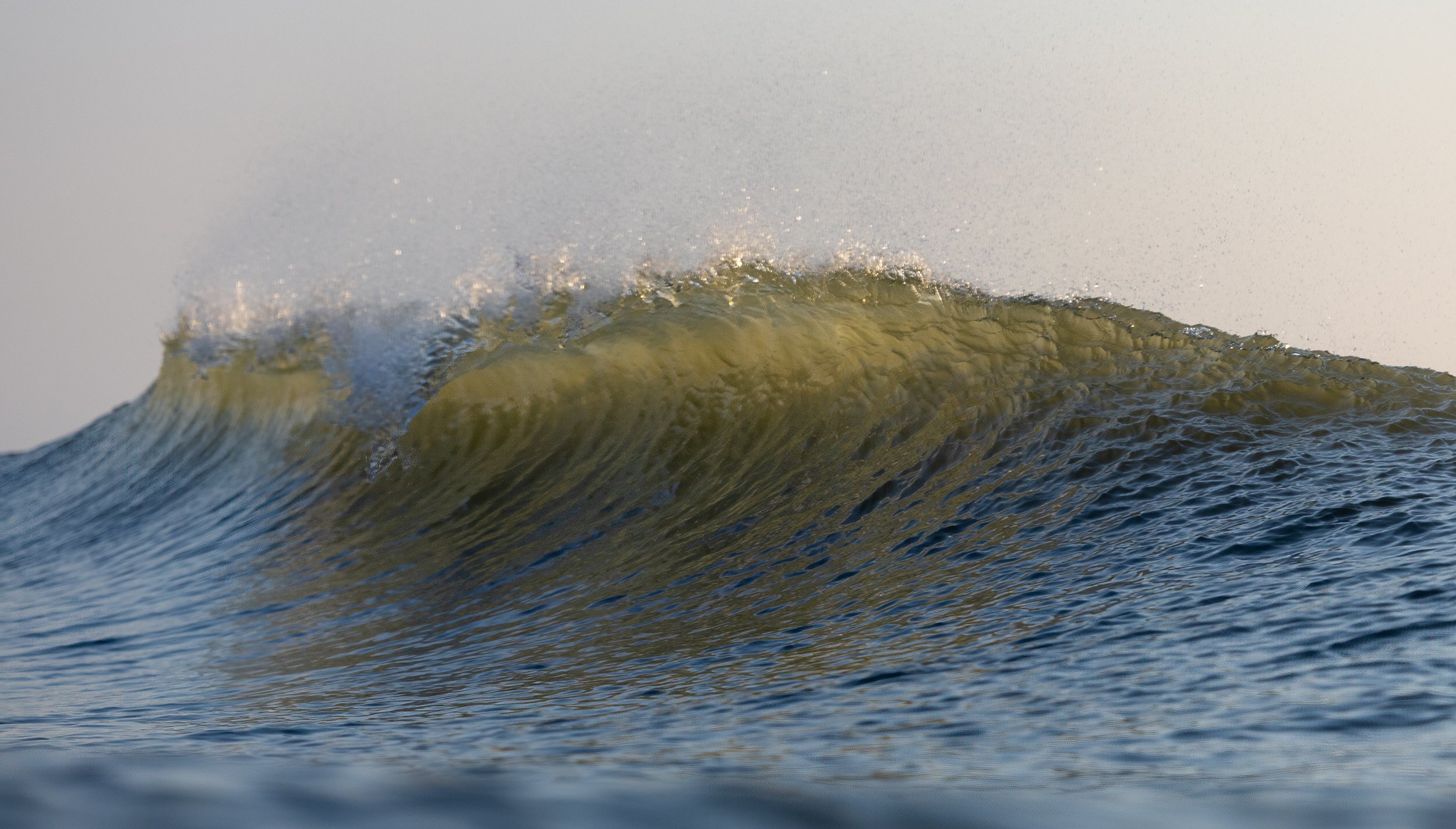1X5A4008-Edit.jpg