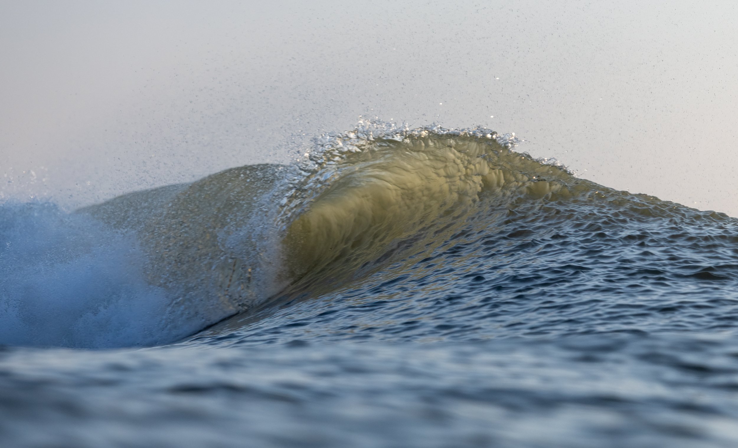 1X5A4015-Edit.jpg