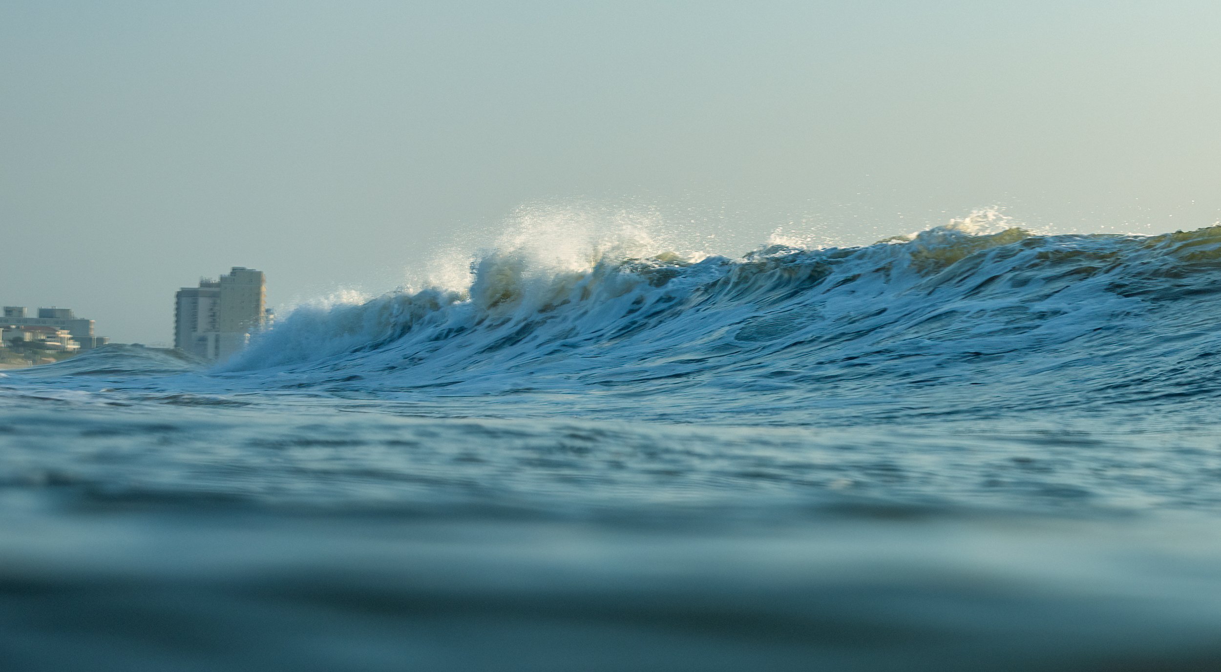 1X5A4294-Edit.jpg