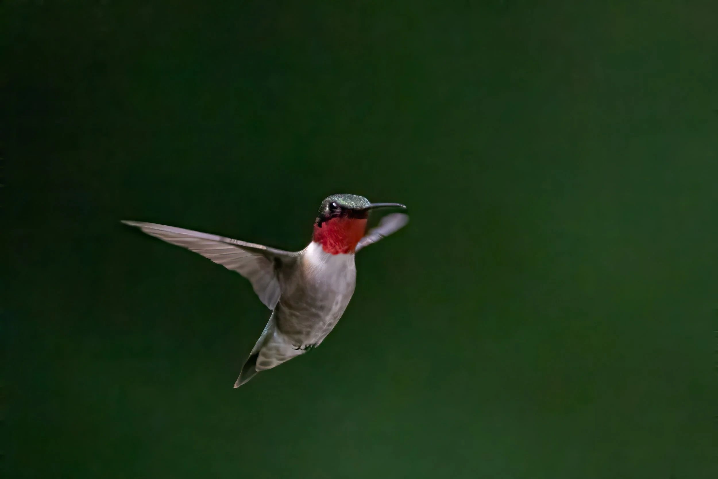 1X5A5817-Edit.jpg