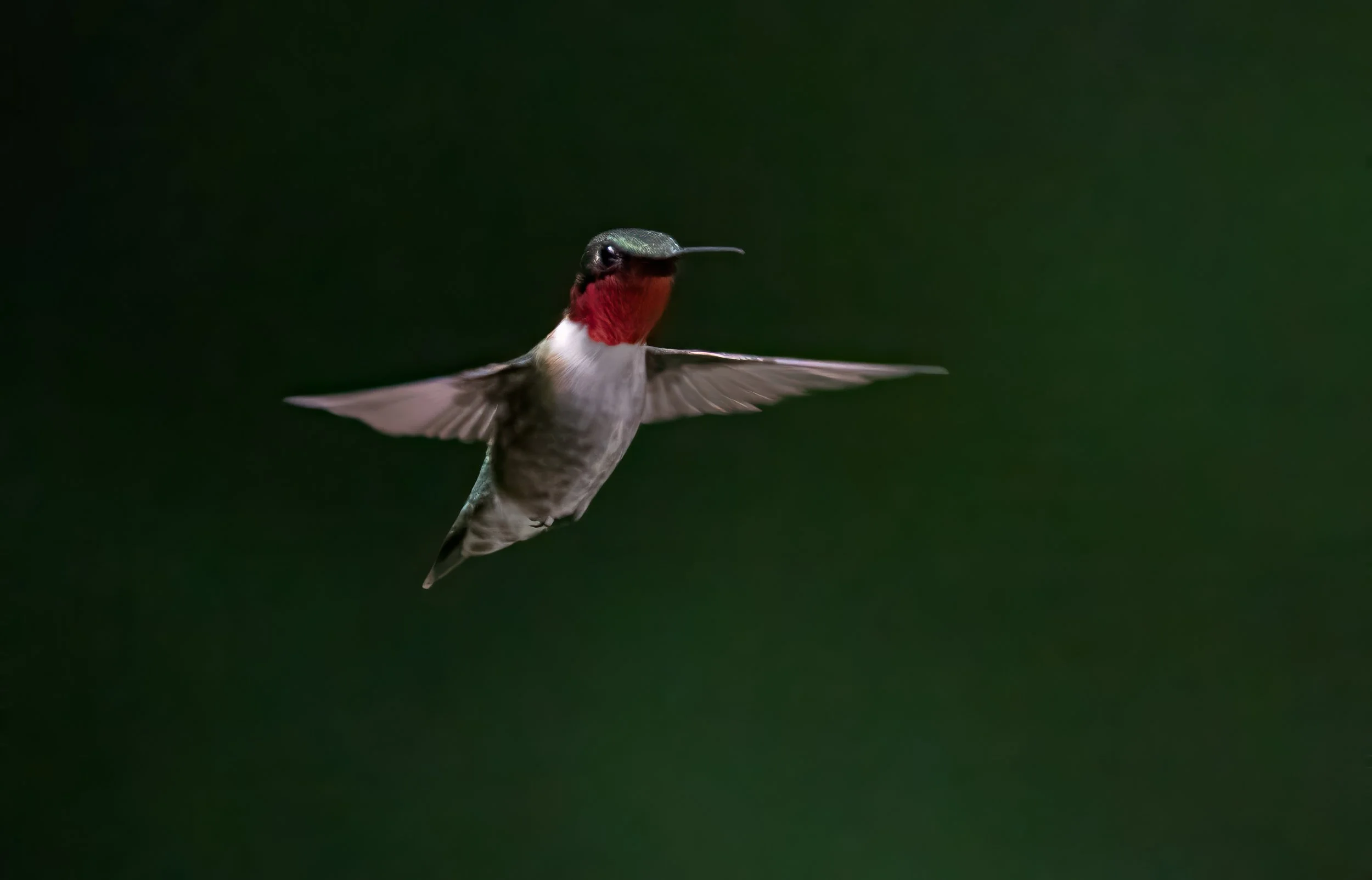 1X5A5818-Edit.jpg