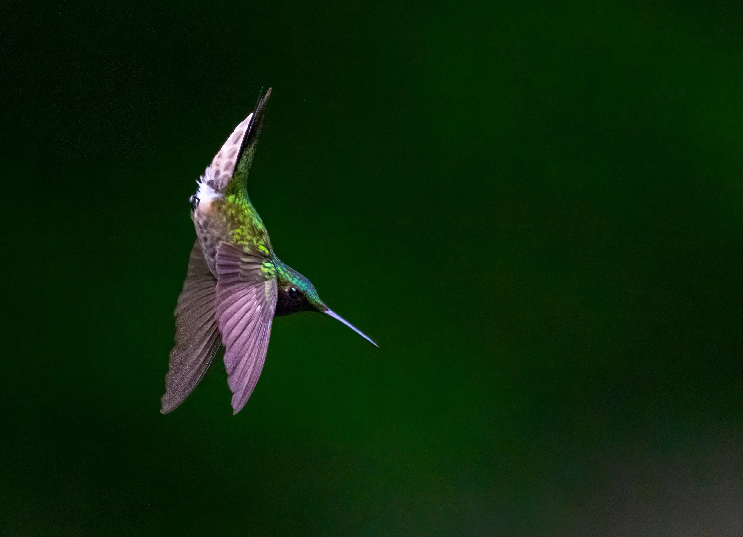 1X5A5820-Edit-2.jpg
