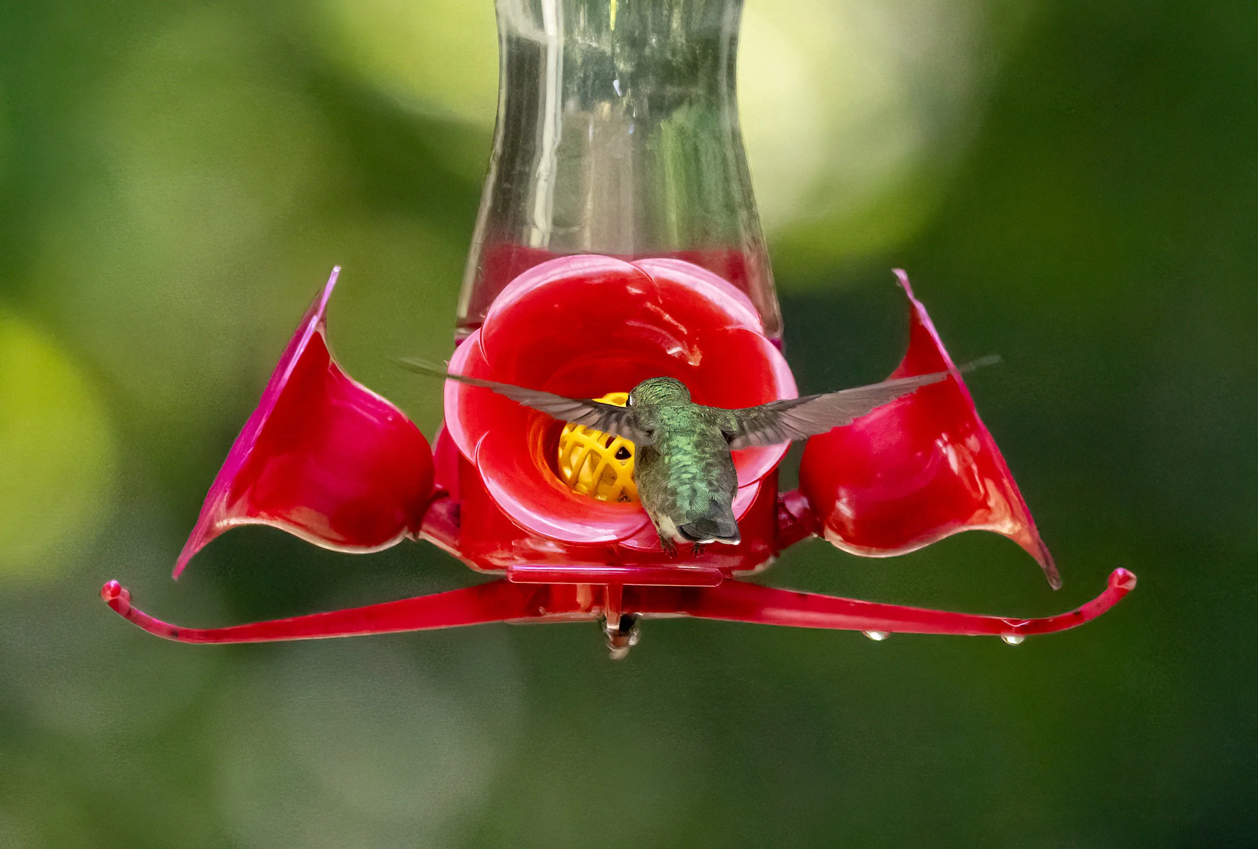 1X5A6178-Edit.jpg