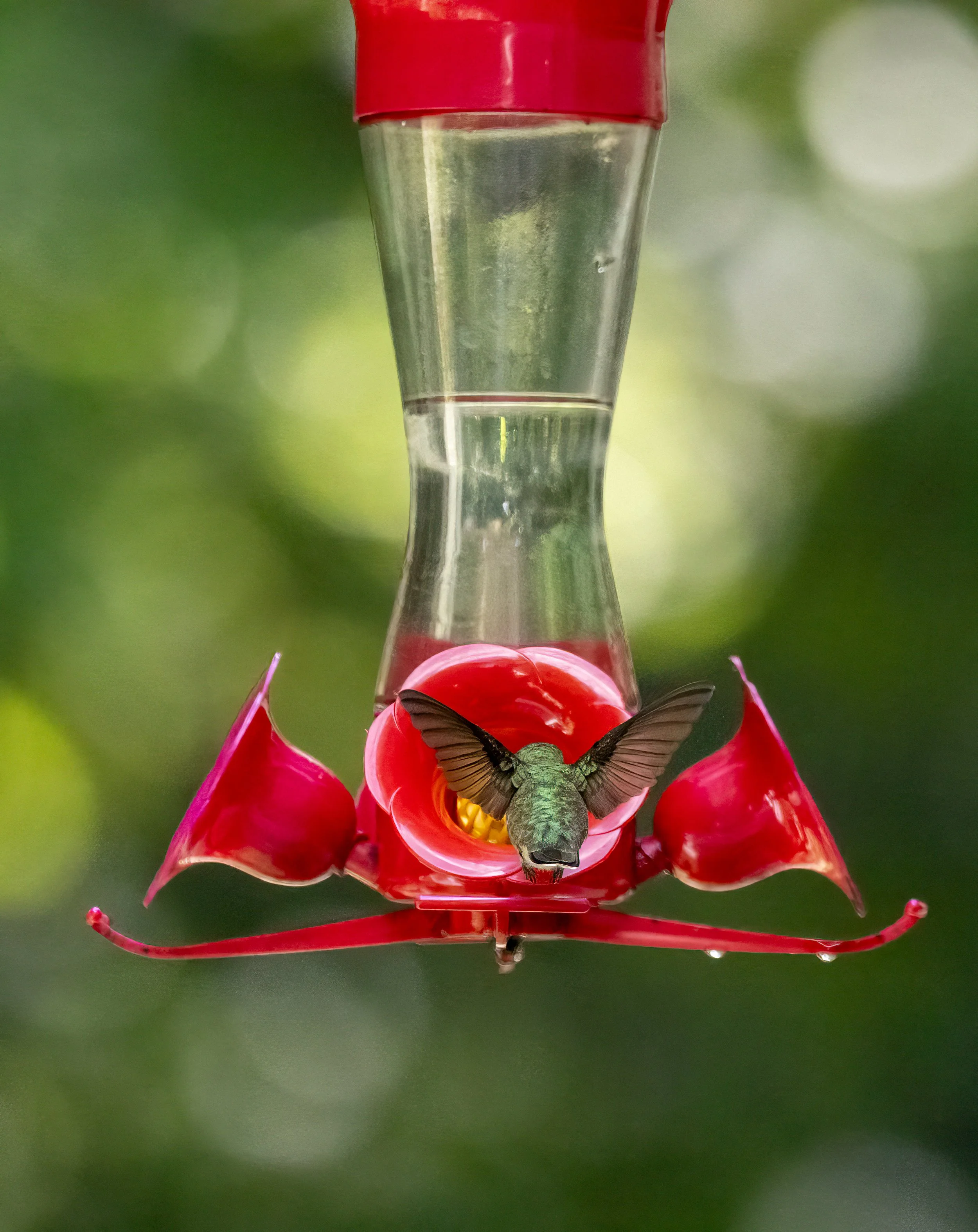 1X5A6182-Edit.jpg