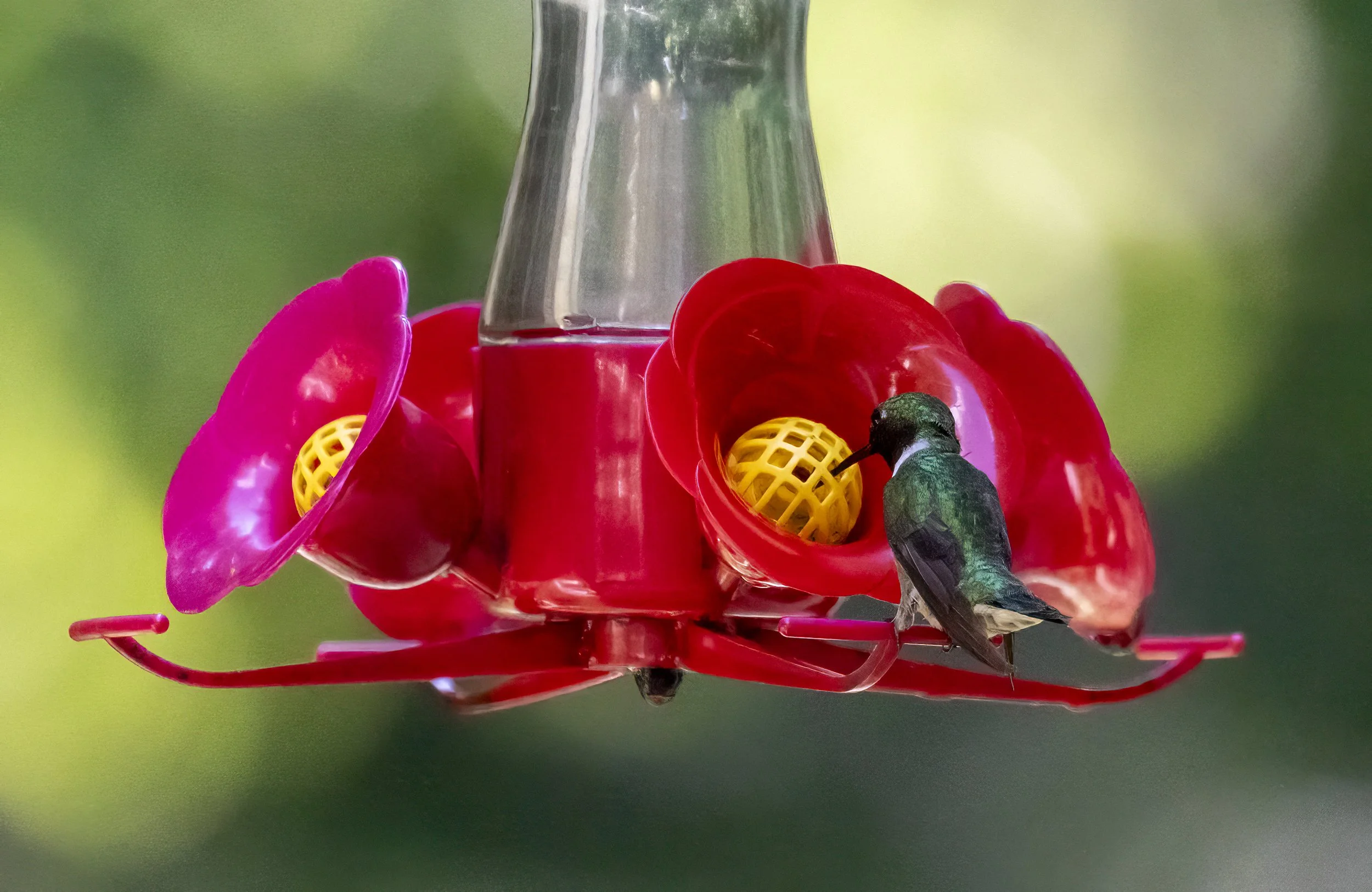1X5A6223-Edit.jpg