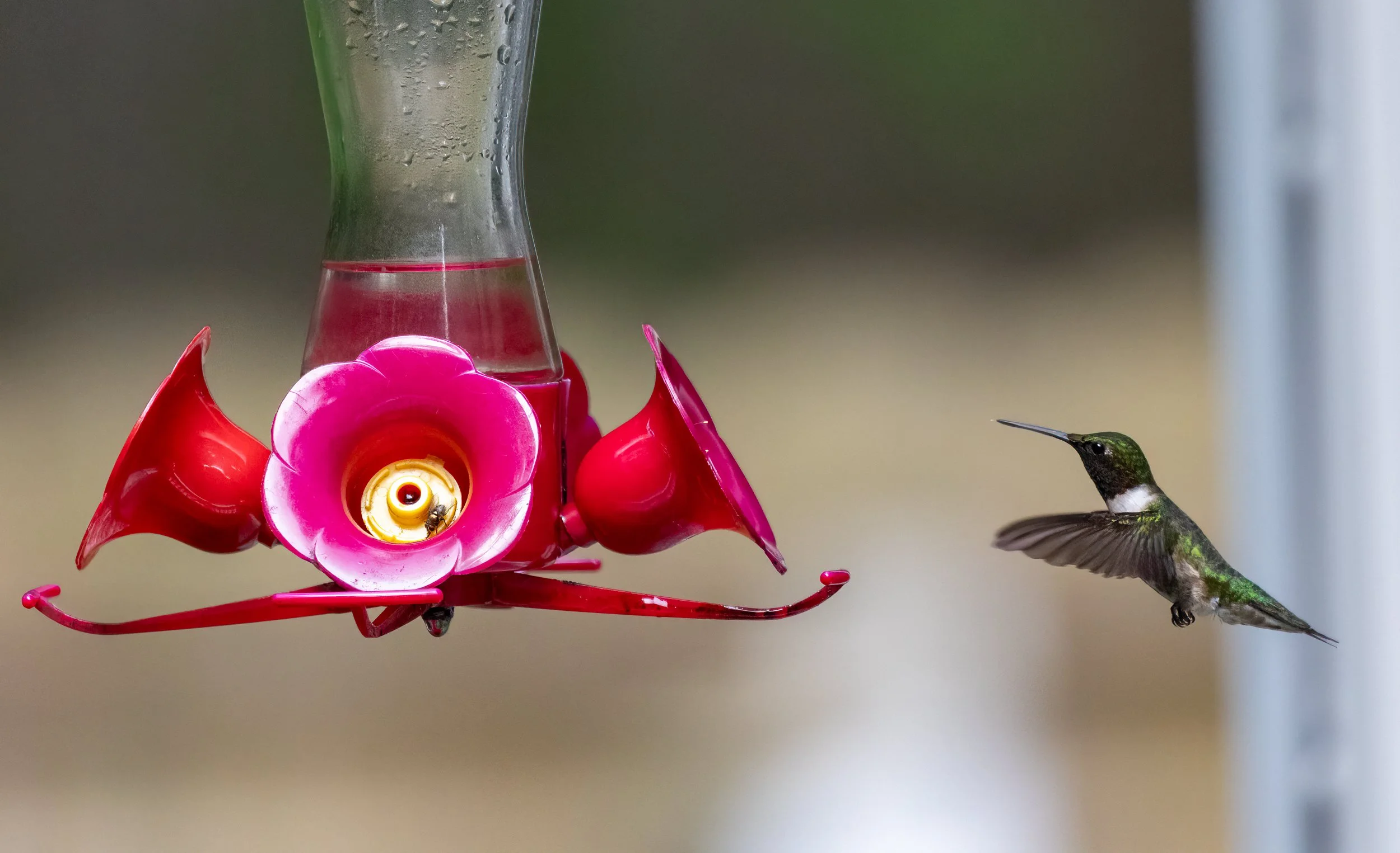 1H1A9587-Edit.jpg