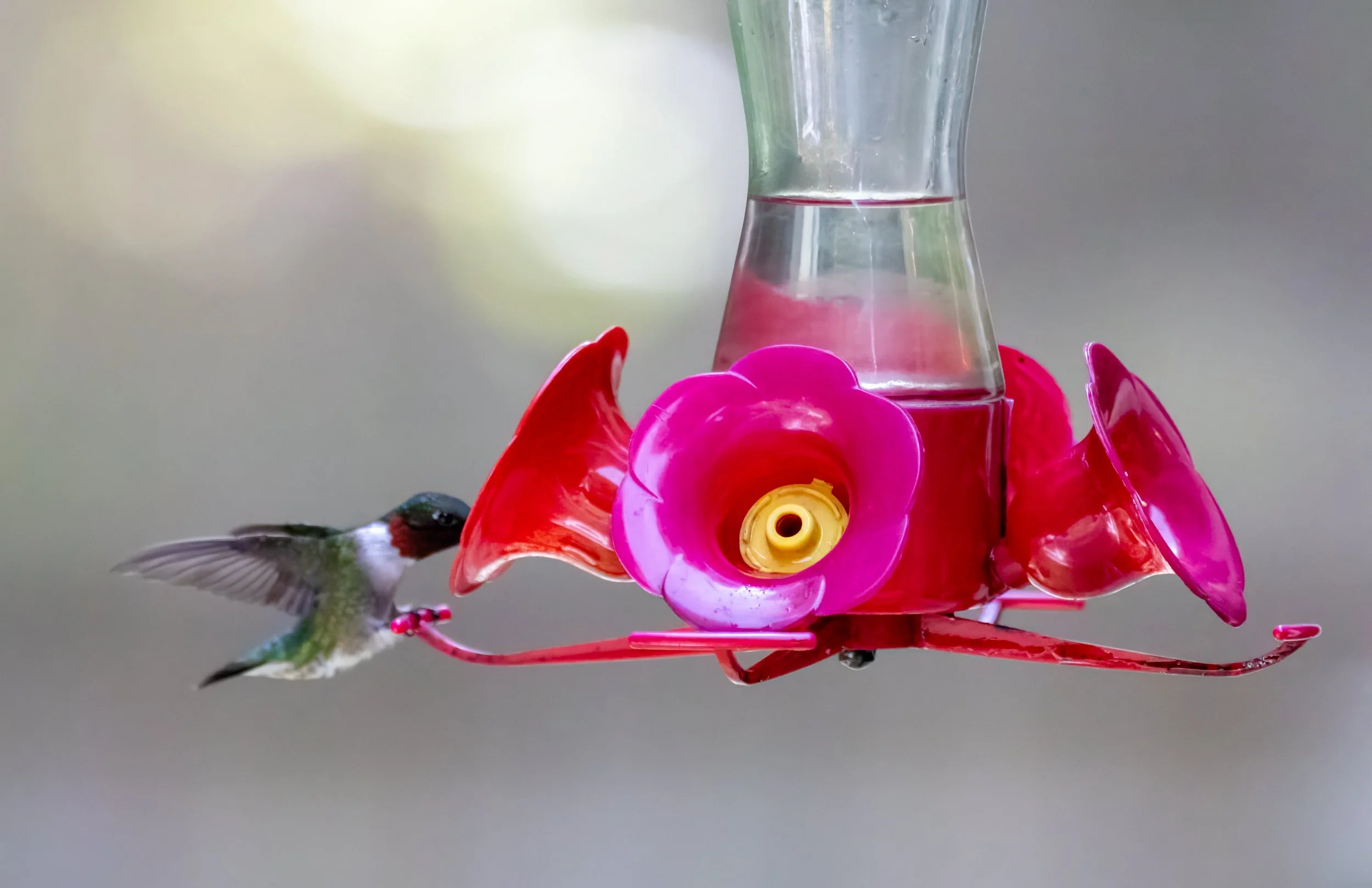 8L2A0240-Edit.jpg