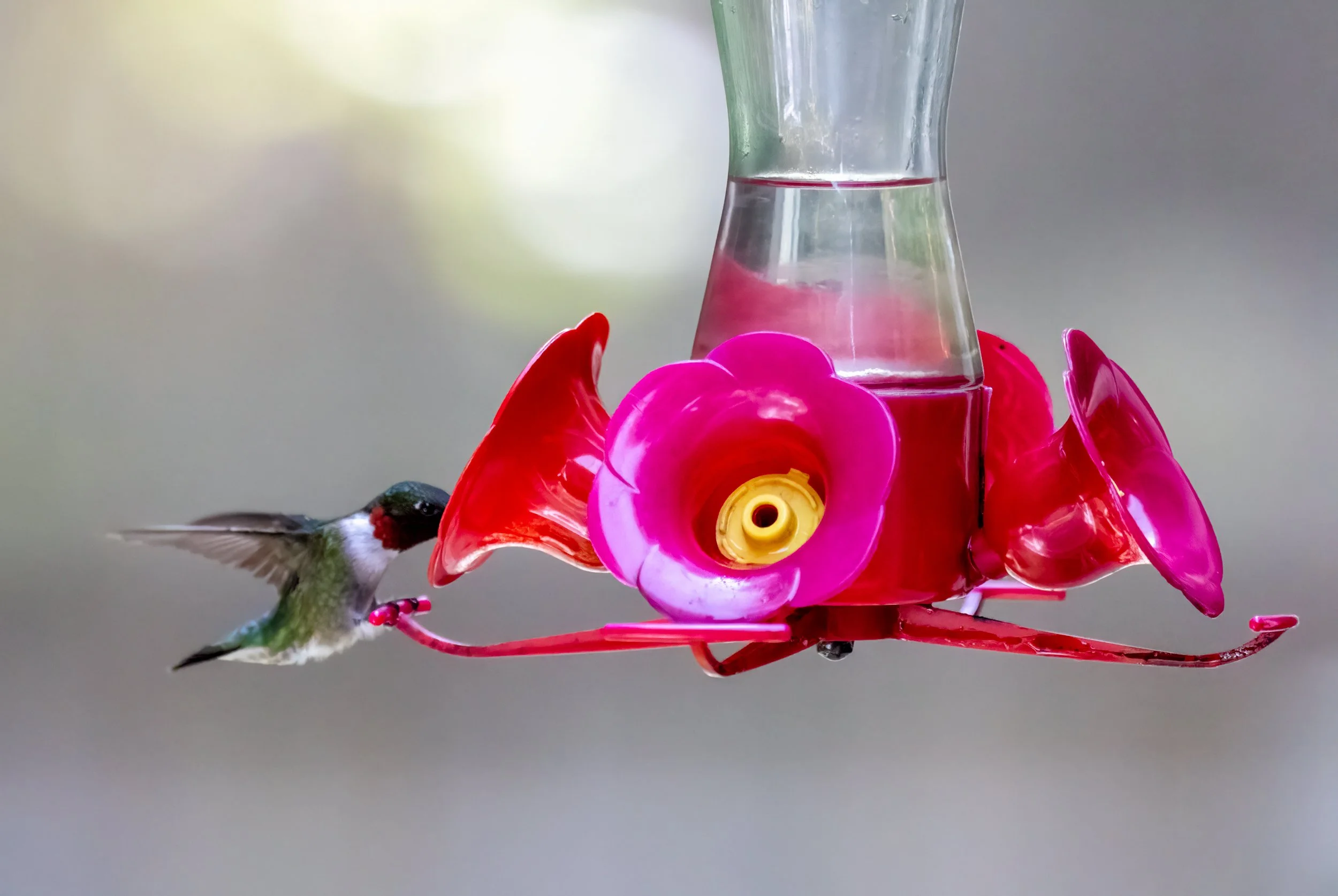 8L2A0244-Edit.jpg