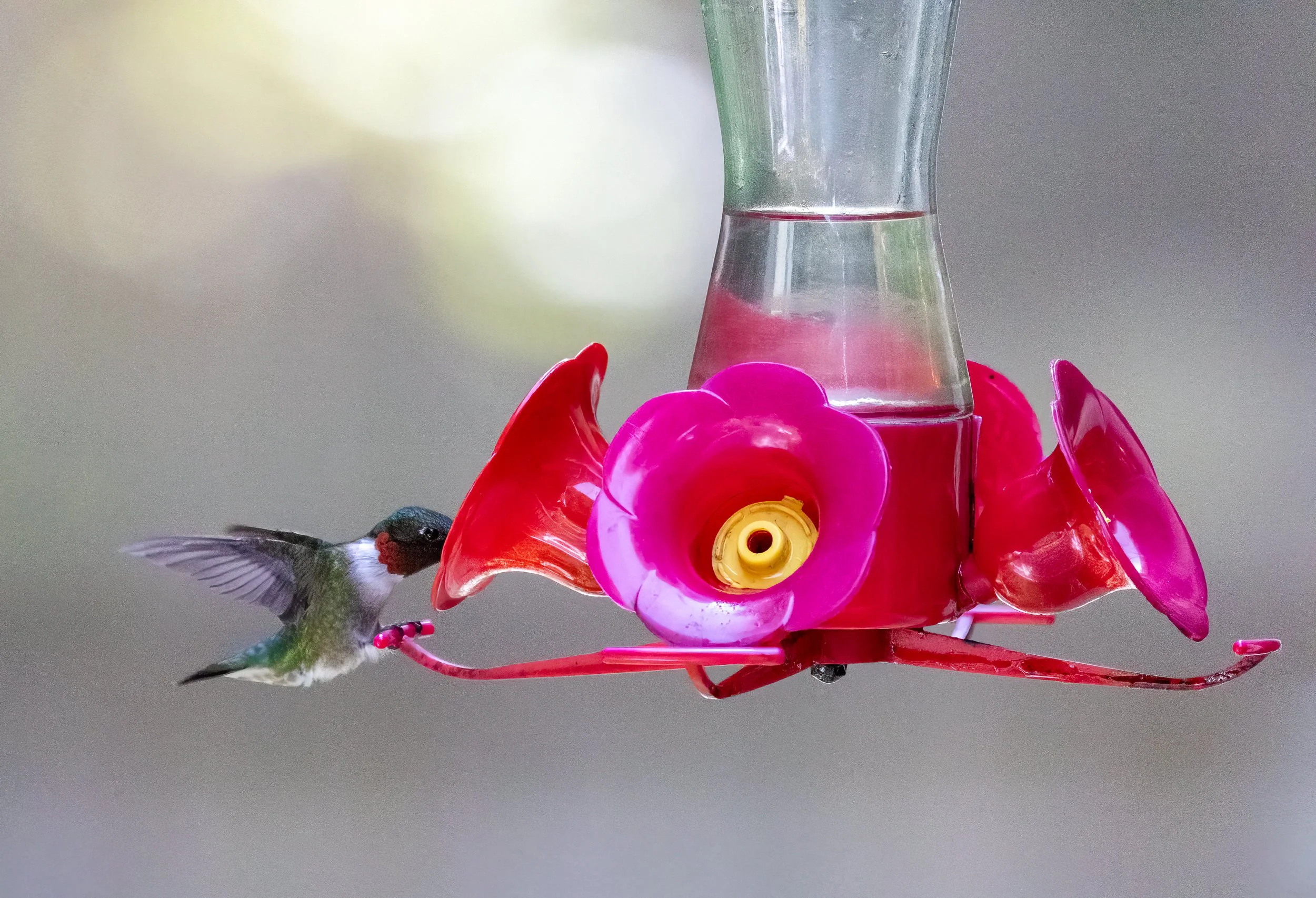 8L2A0245-Edit.jpg