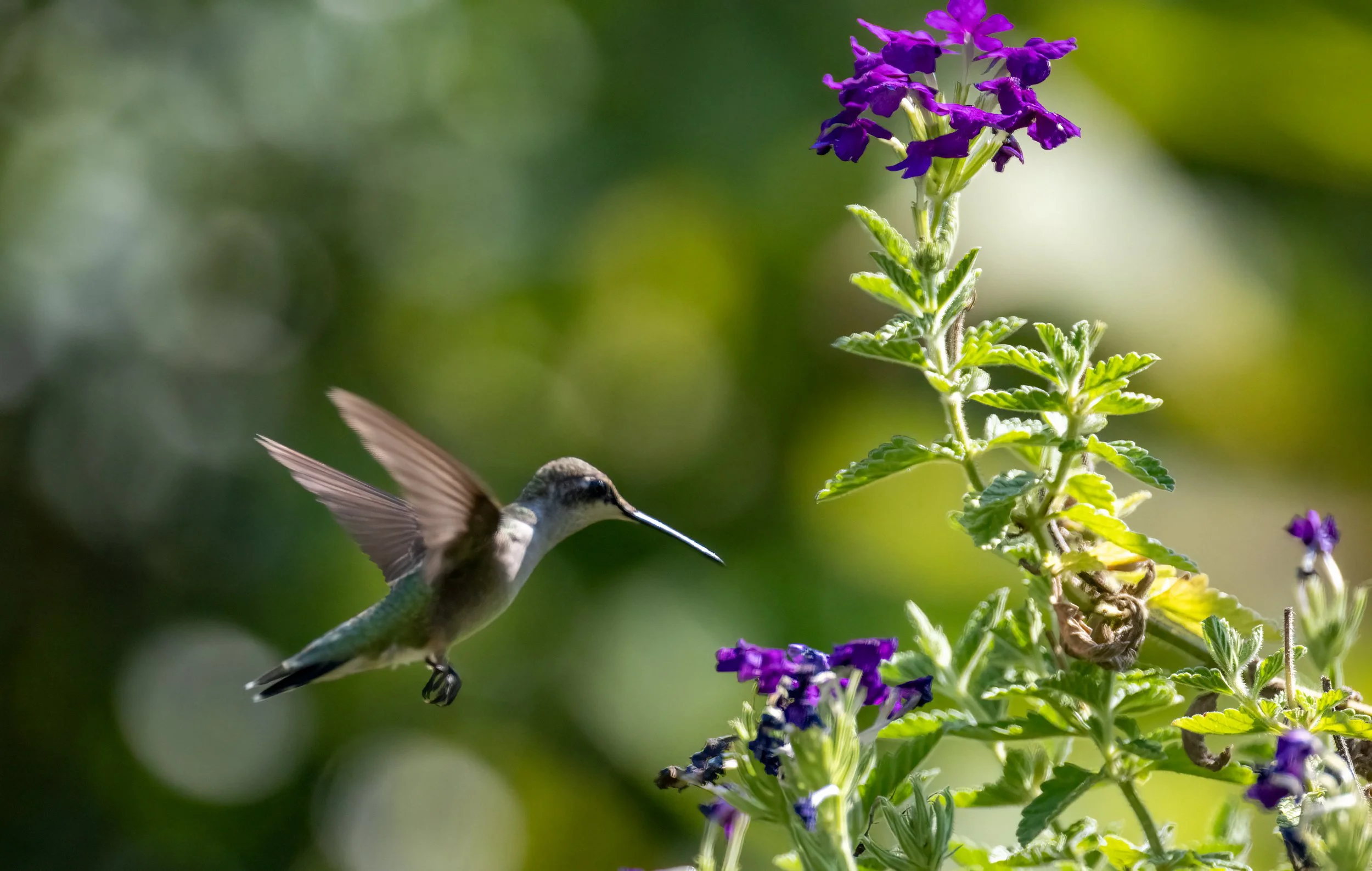 8L2A0714-Edit.jpg