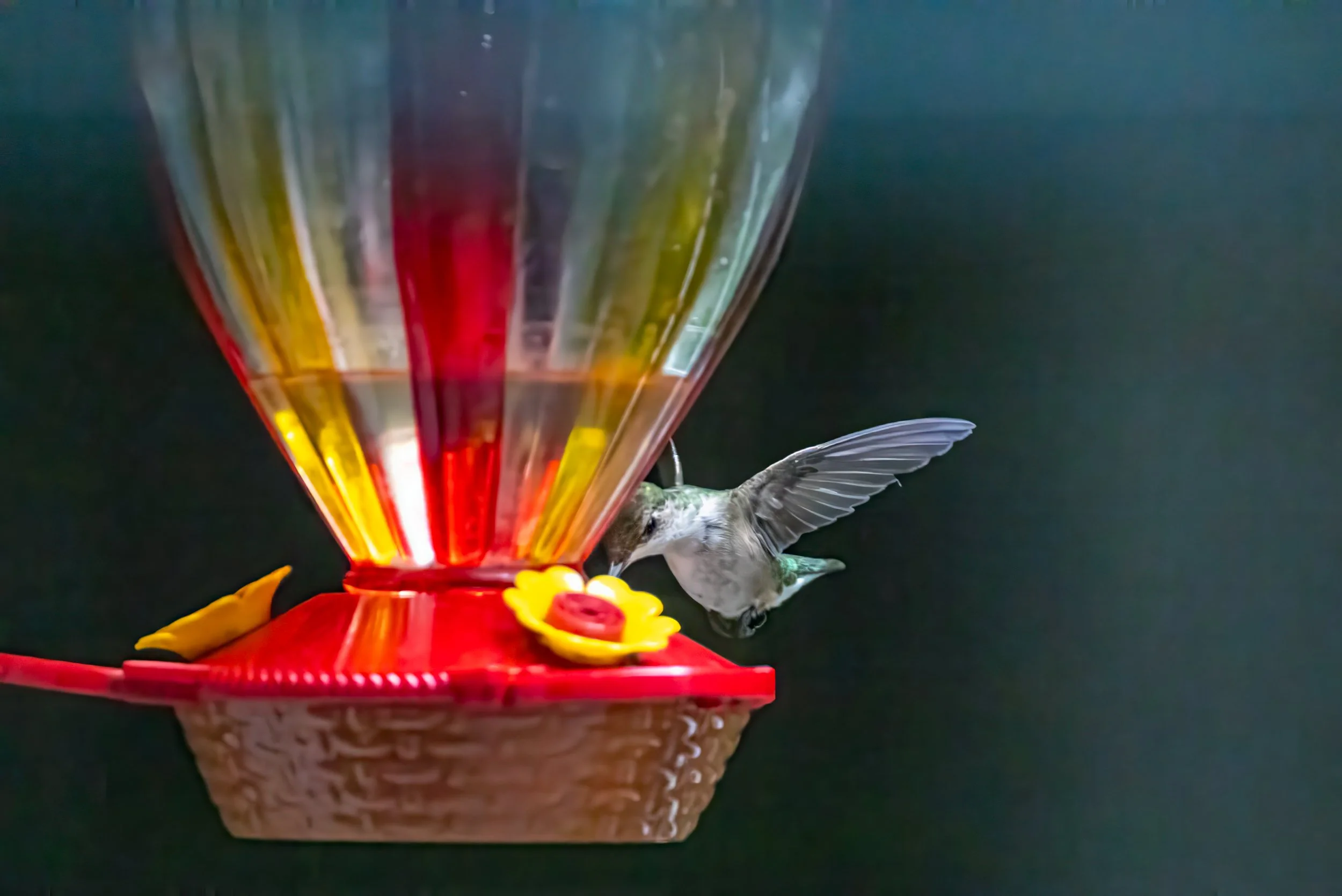 8L2A0753-Edit.jpg