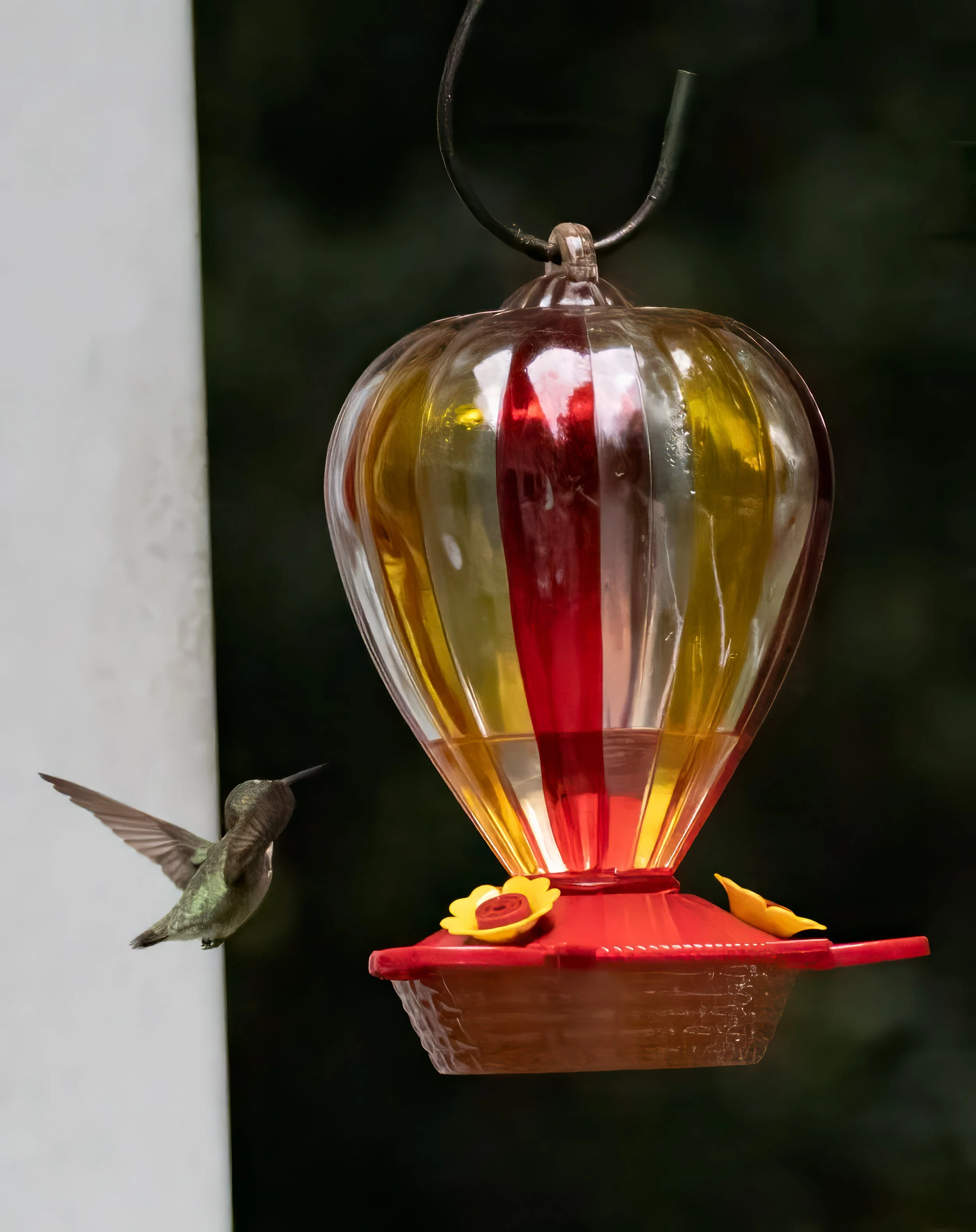 8L2A2587-Edit-Edit-2.jpg